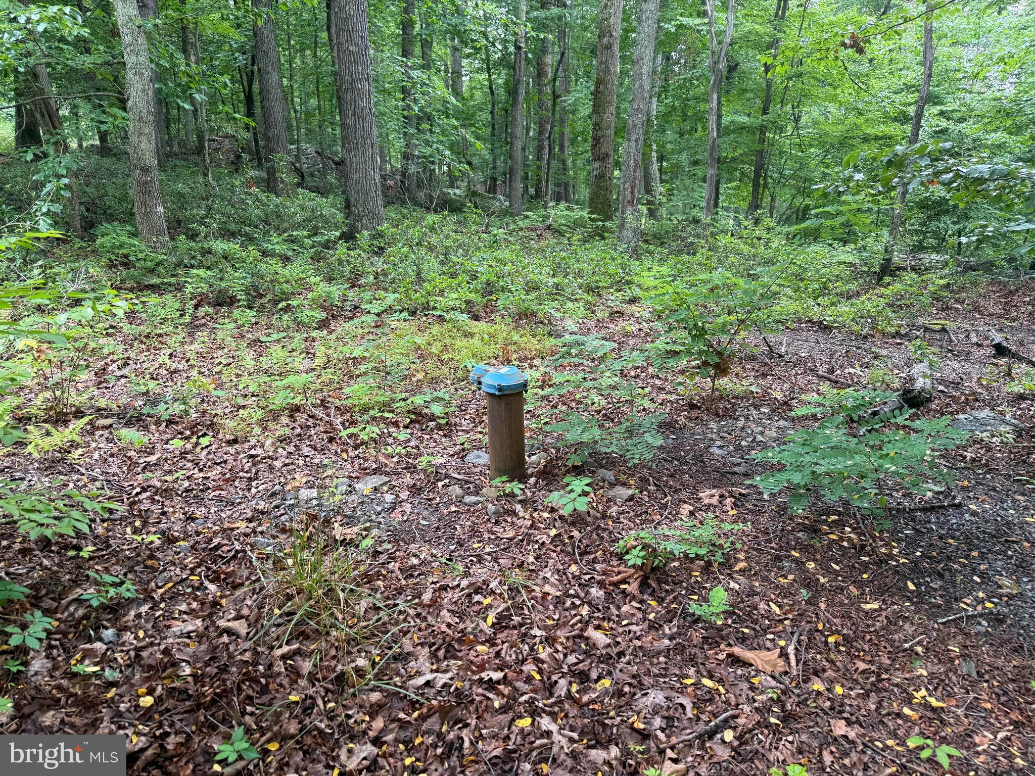 CABIN AT CAPON BRIDGE - Land