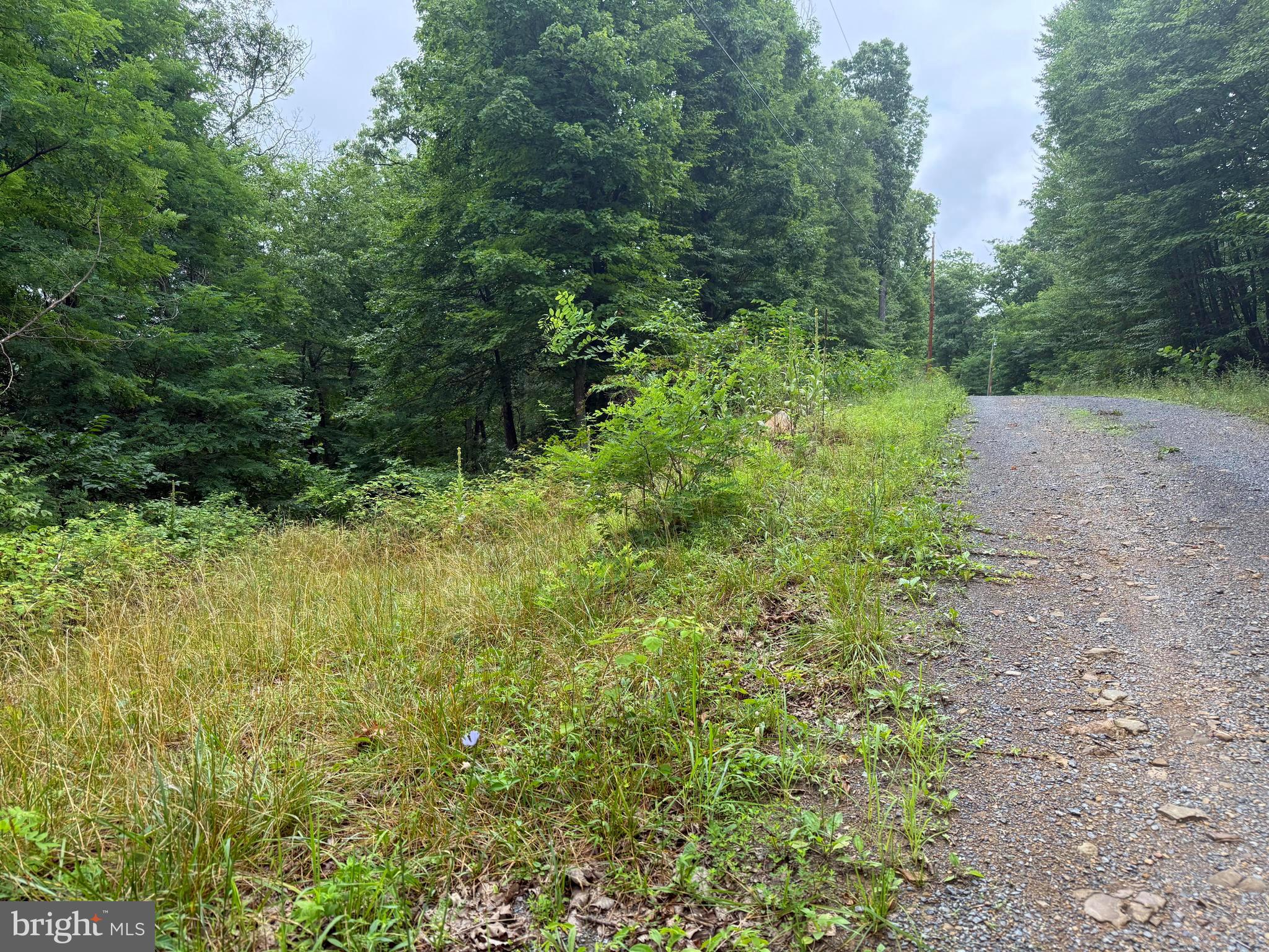 CABIN AT CAPON BRIDGE - Land