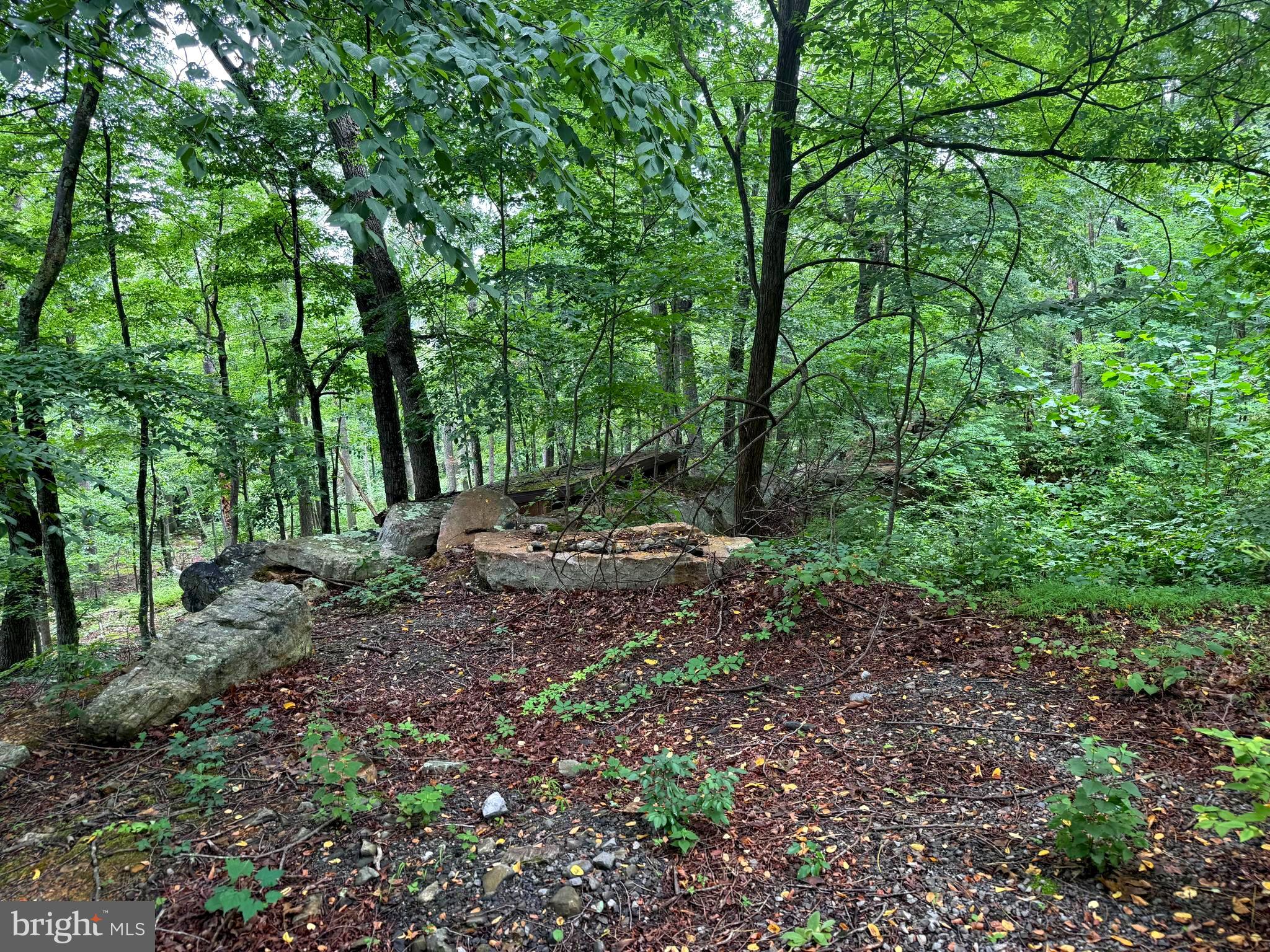 CABIN AT CAPON BRIDGE - Land