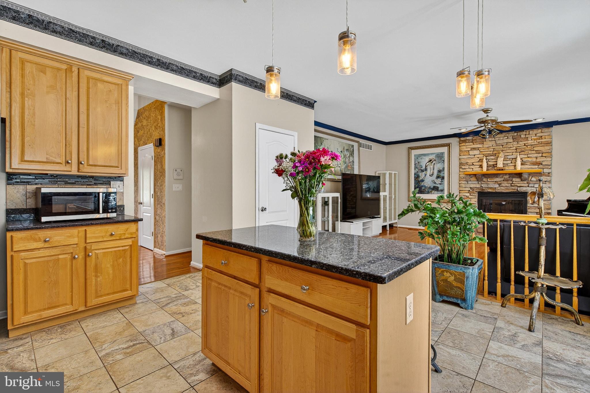 SPRINGHOUSE STATION - Residential