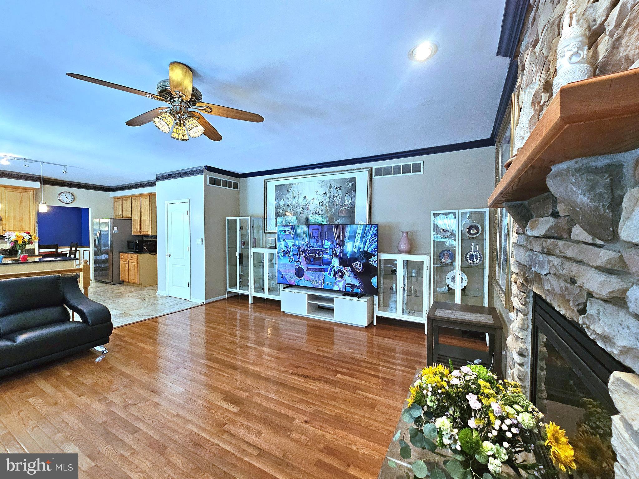 SPRINGHOUSE STATION - Residential