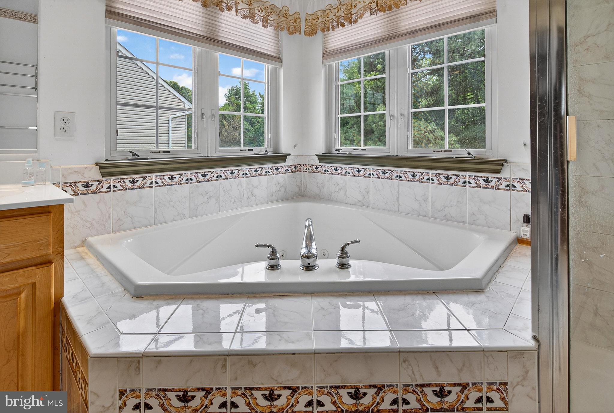 SPRINGHOUSE STATION - Residential