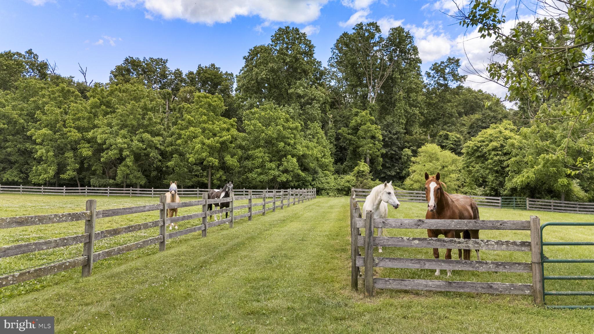 BASSETT HUNT - Residential
