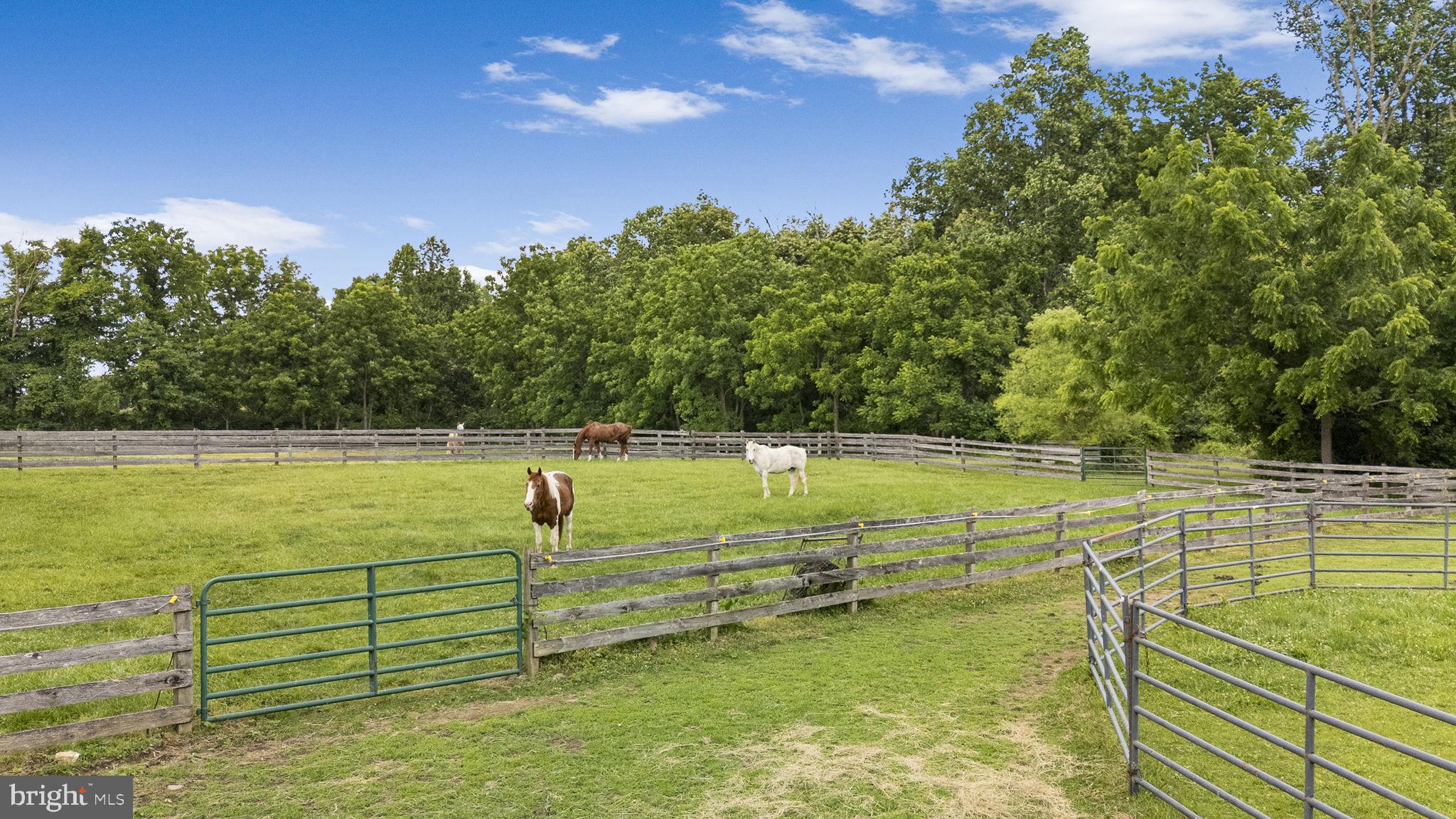 BASSETT HUNT - Residential