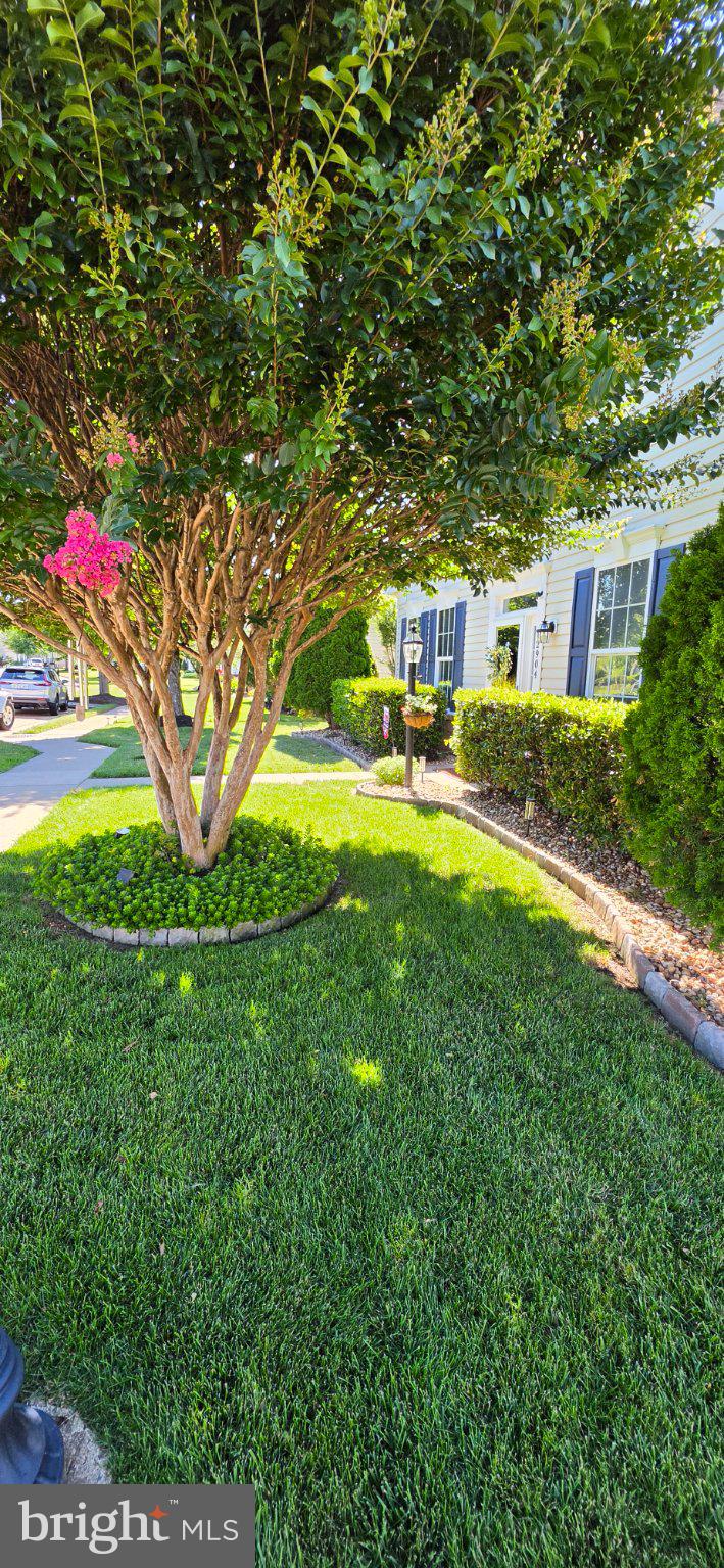 DUNBARTON - Residential