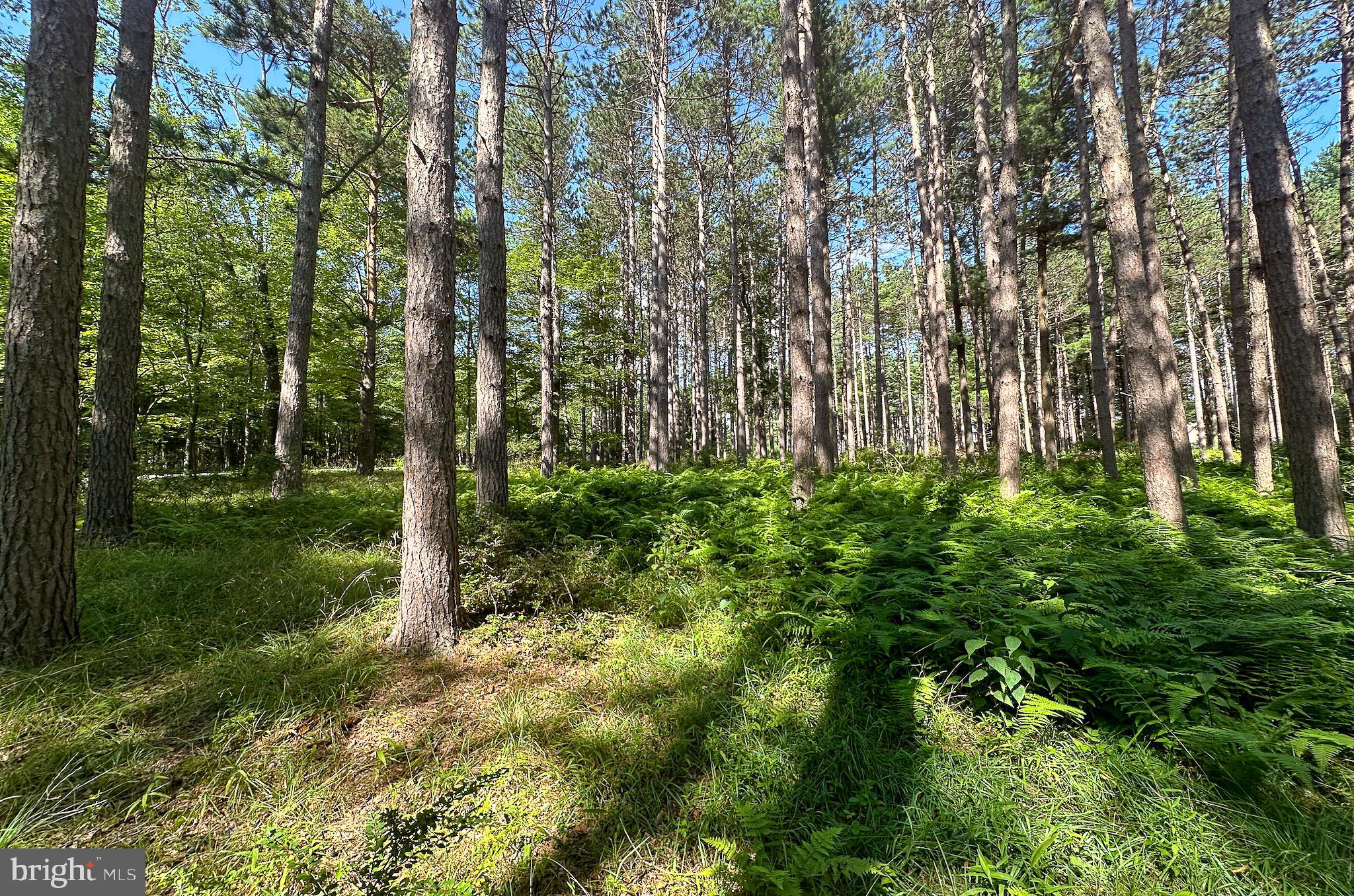 THE RESERVE AT HOLY CROSS - Land