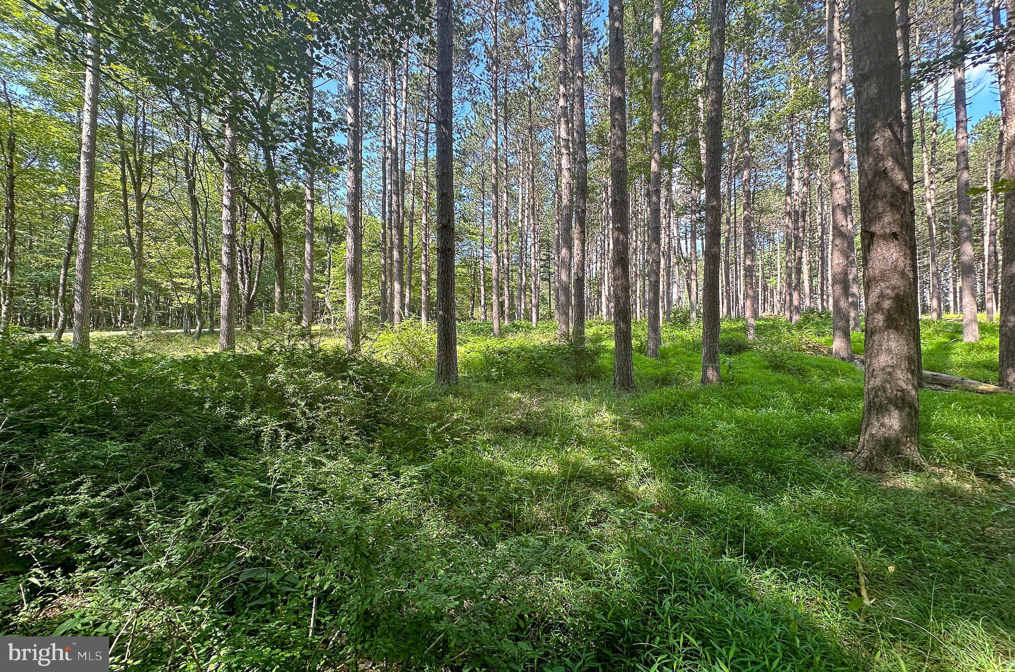 THE RESERVE AT HOLY CROSS - Land