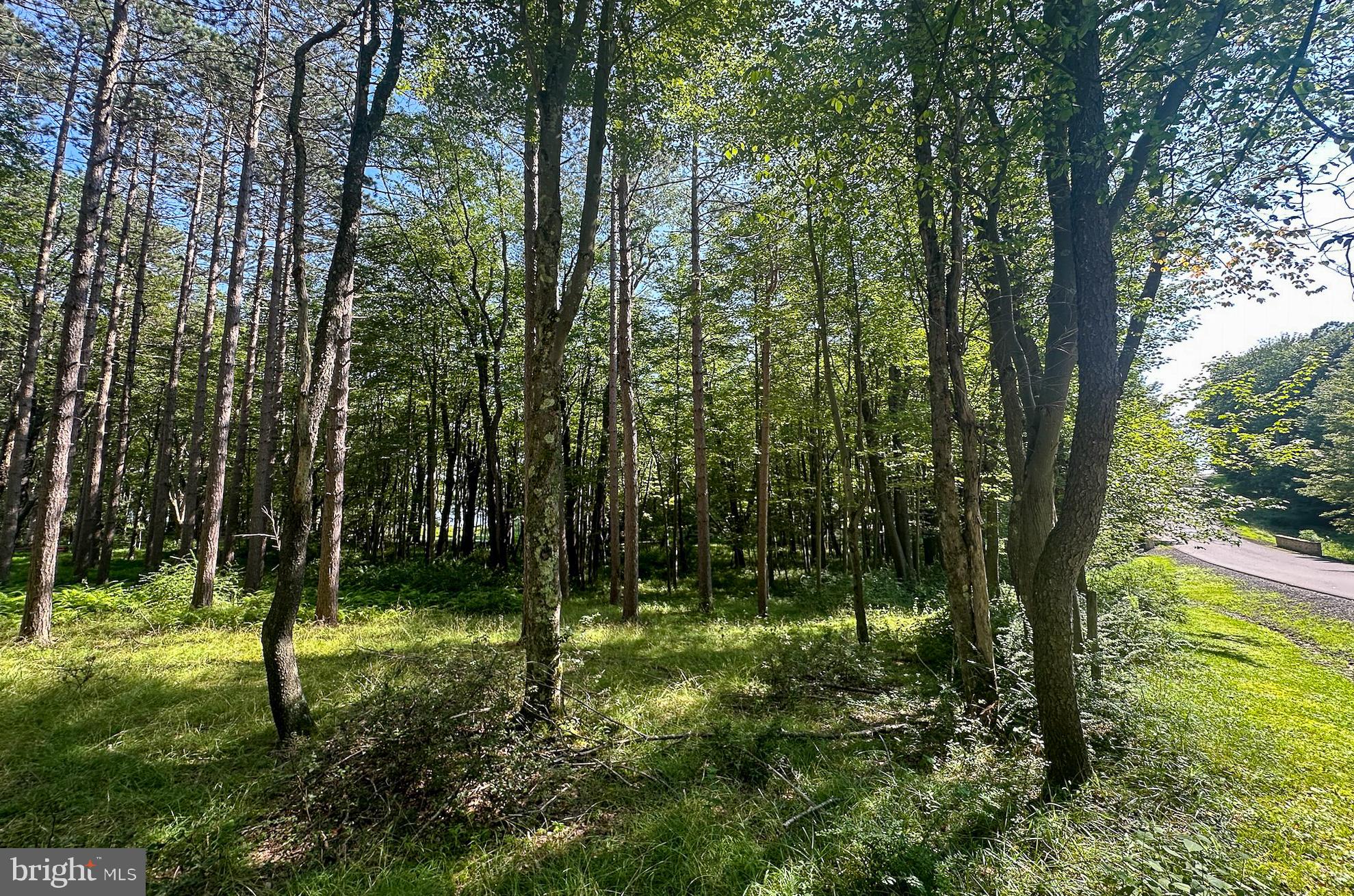 THE RESERVE AT HOLY CROSS - Land