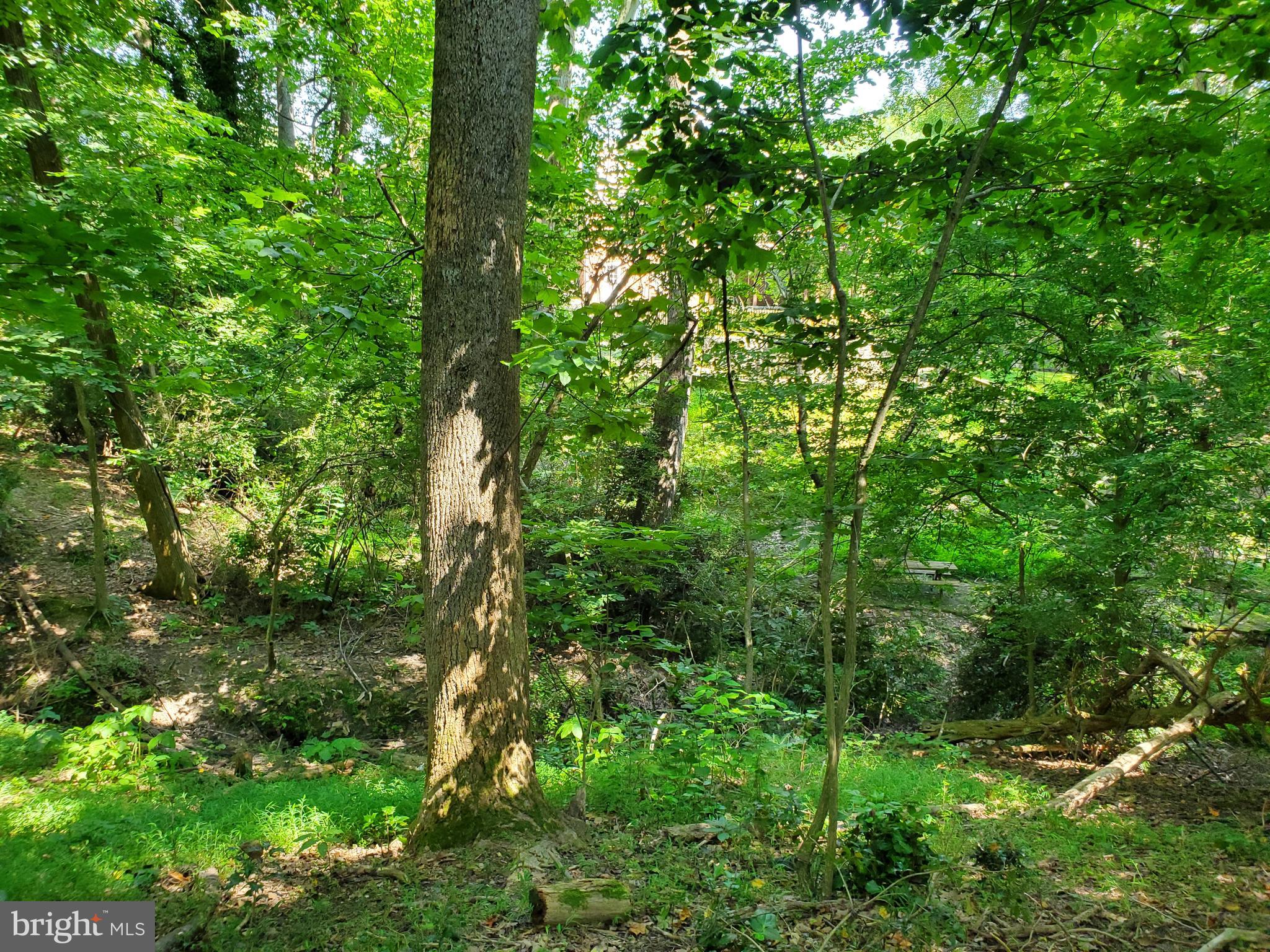 This has a nice home site set up high and tucked away at the end of a quiet cul de sac. The setting is just off Jamestown Road across from the College of Williams and Mary, a block or two away from Merchant's Square and Colonial Williamsburg. There are no HOA dues. Architectural plans must be run through the architectural review board of the city of Williamsburg.