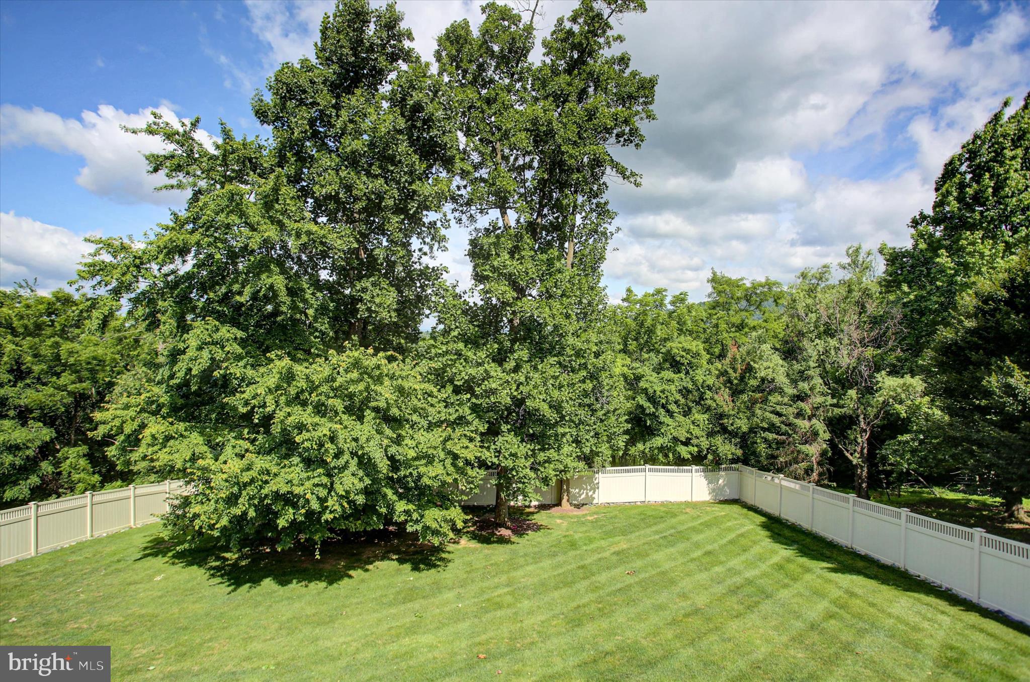 FOREST HILLS - Residential