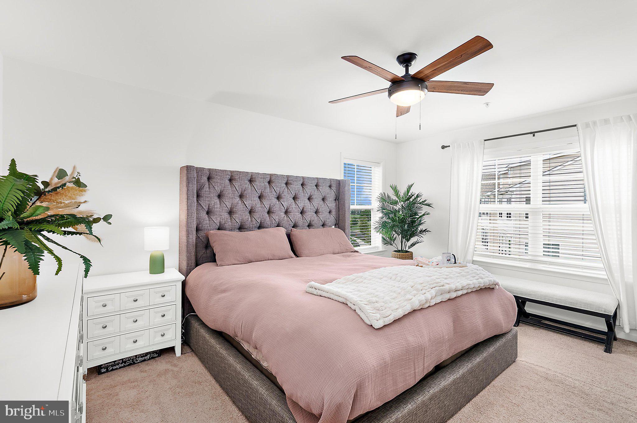 ELLENDALE - Residential