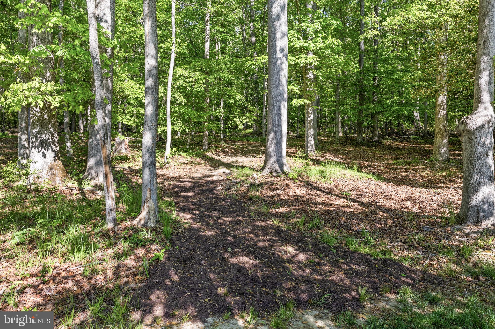 SAWHILL - Residential