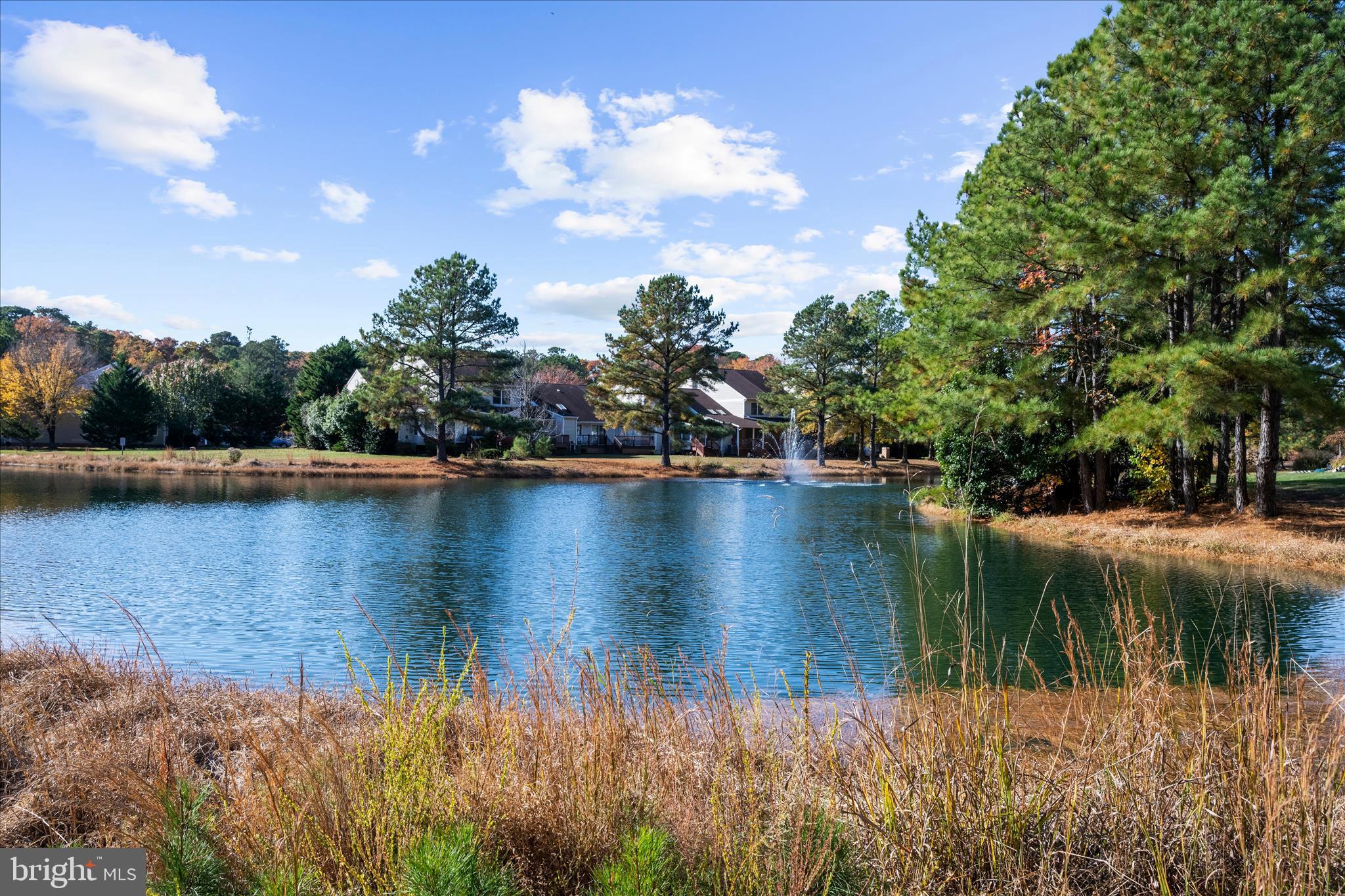 BRIDGE POINTE - Residential