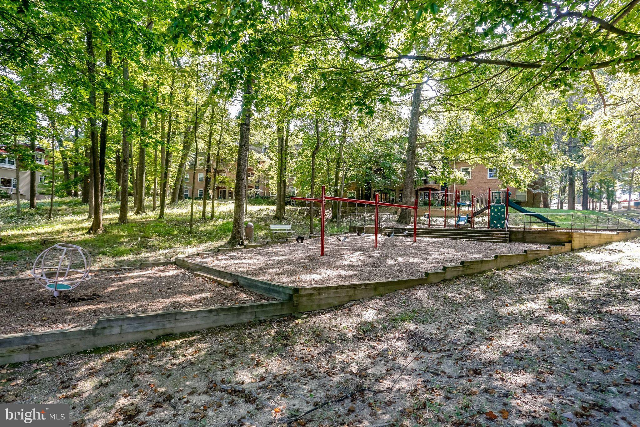 CARDINAL FOREST - Residential