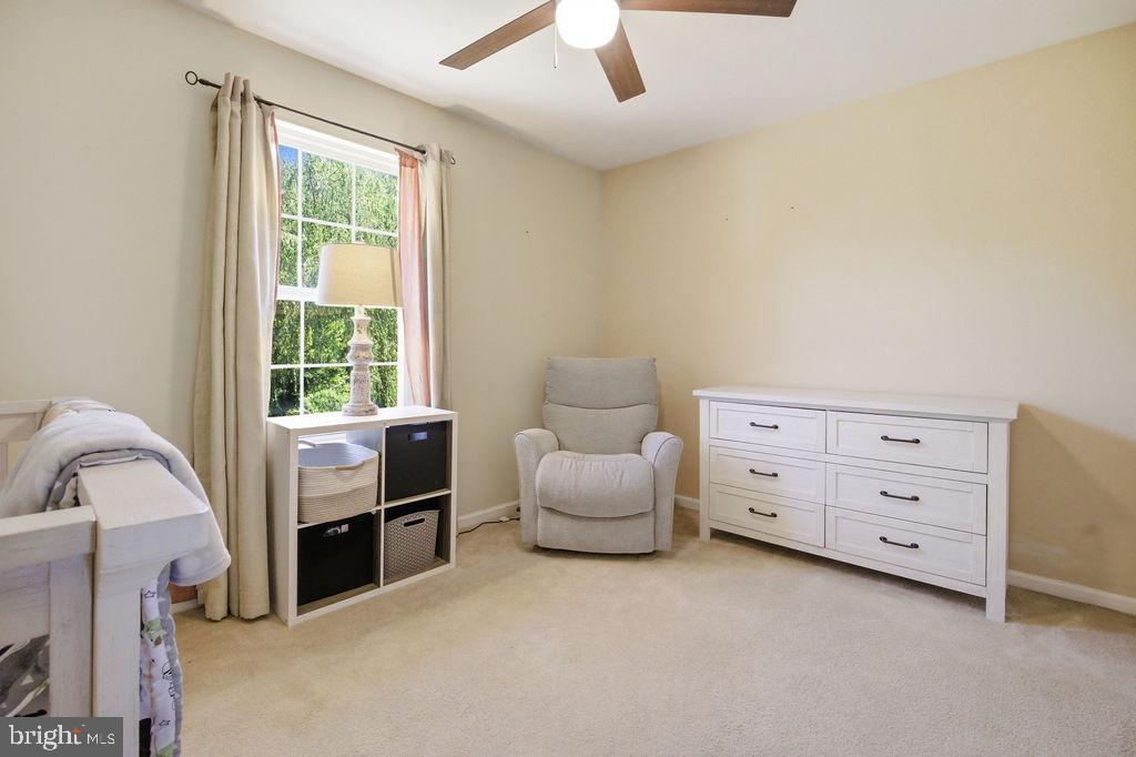 WYNTHORPE - Residential