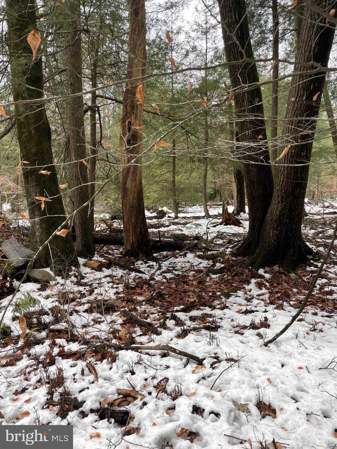 HOLIDAY POCONO - Land