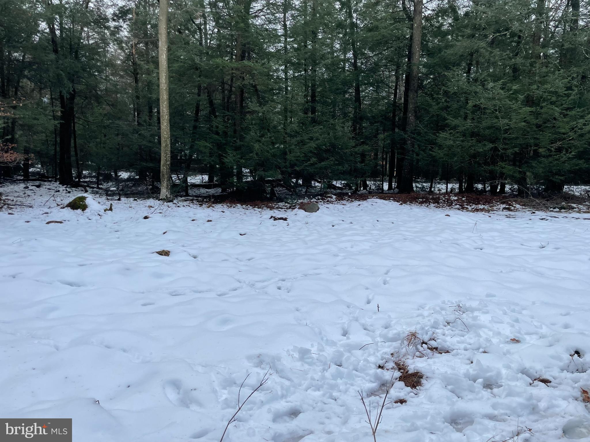 HOLIDAY POCONO - Land