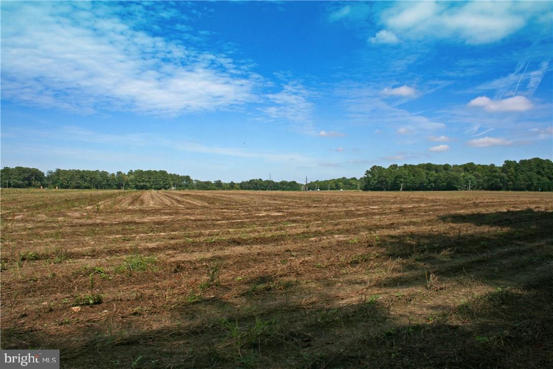 NONE AVAILABLE - Land