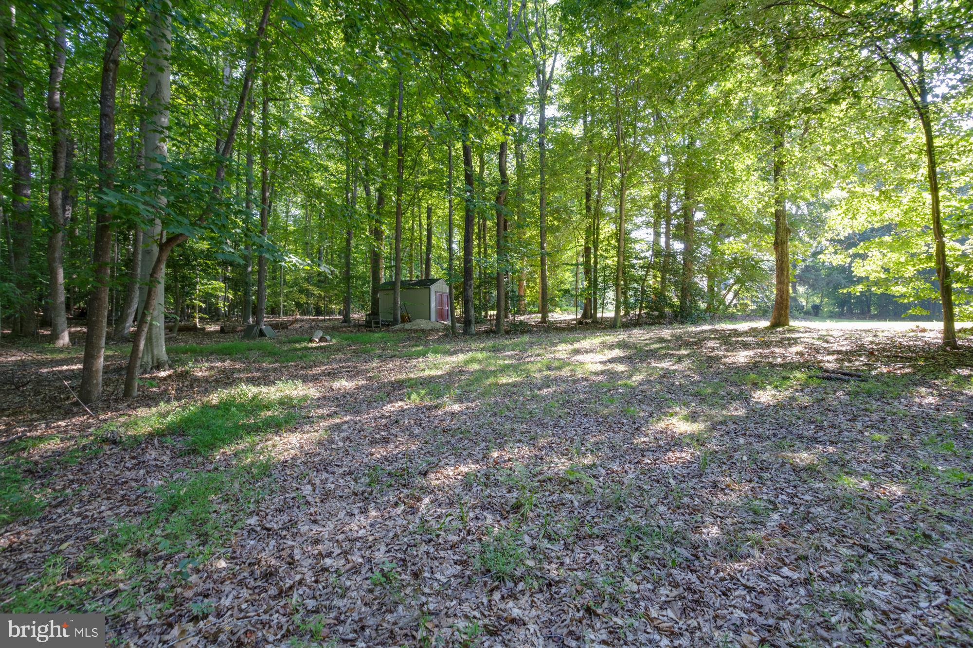 CLIFTON AT WOLF RUN - Residential