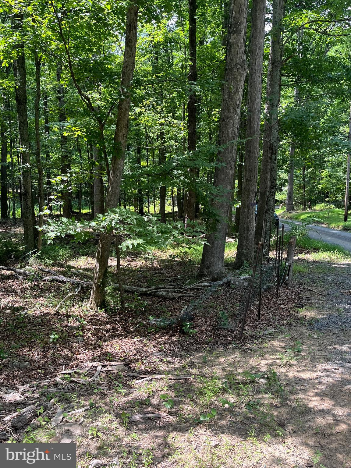 ROUSE MOUNTAIN - Land