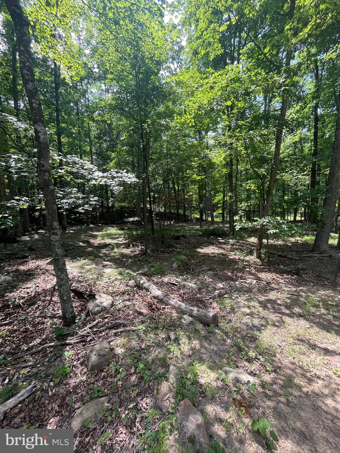 ROUSE MOUNTAIN - Land