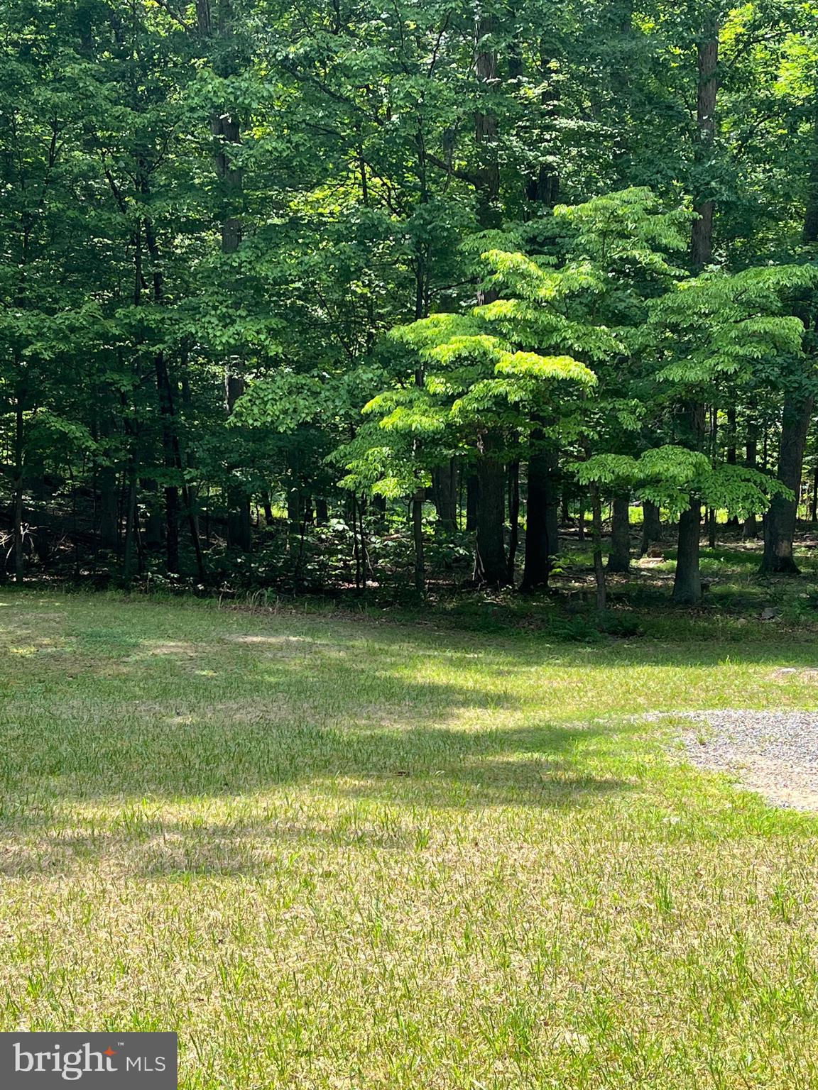 ROUSE MOUNTAIN - Land