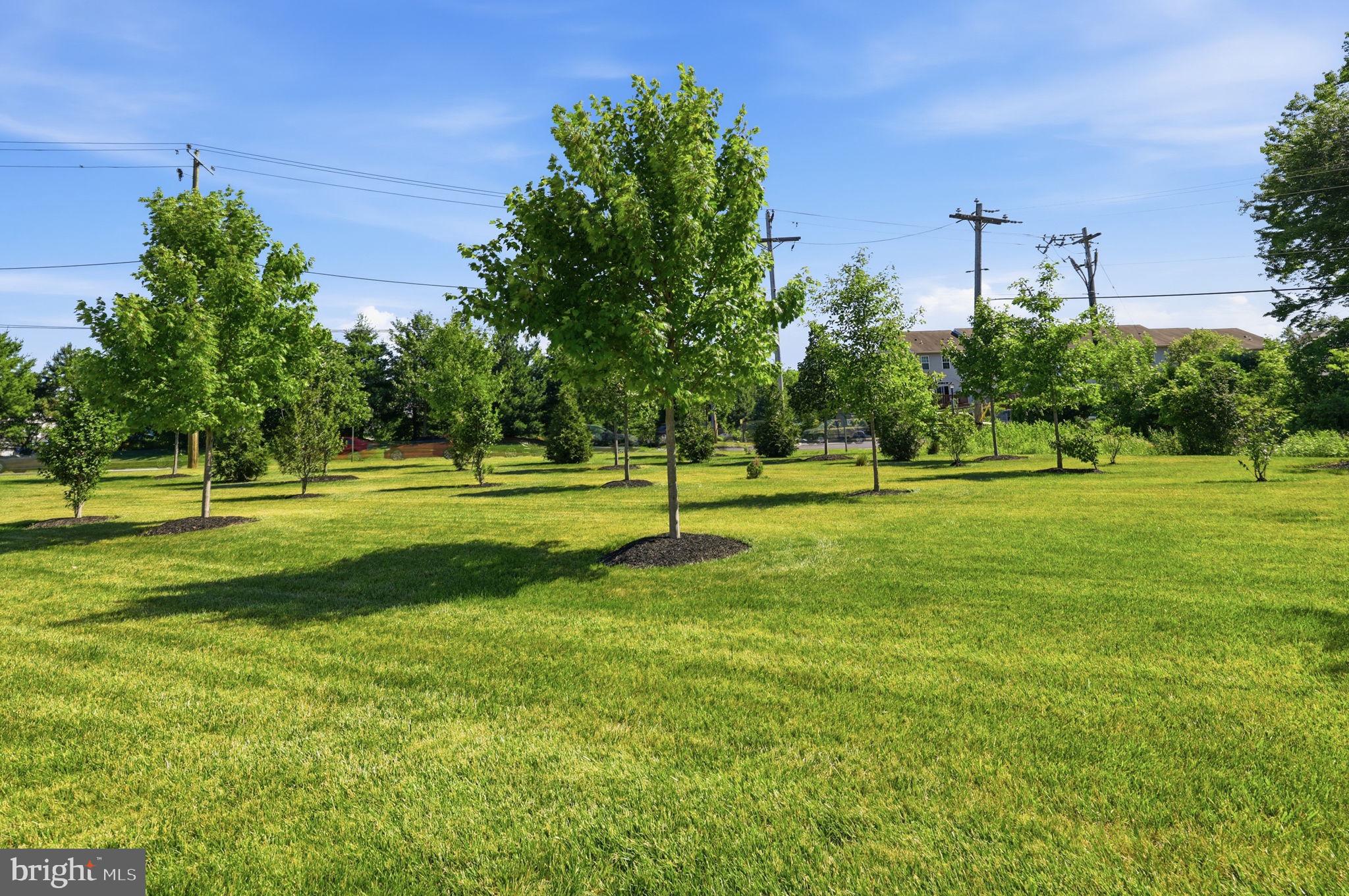 ASHBOURNE MEADOWS - Residential