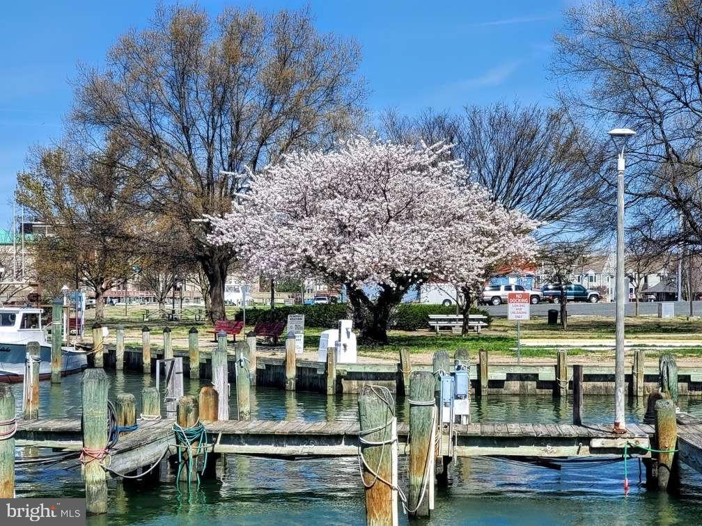 DEEP HARBOR - Residential