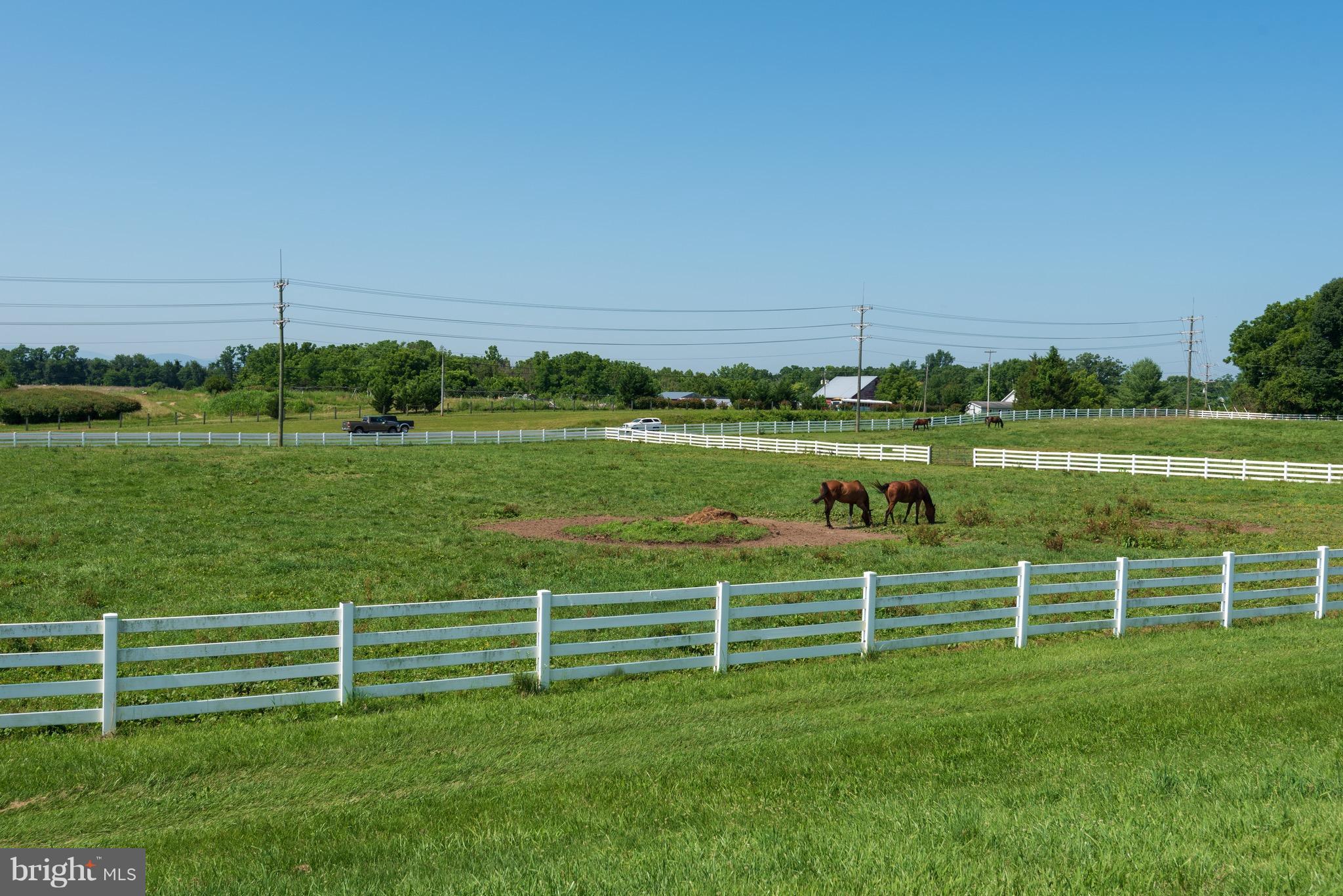 WHITE POST - Farm