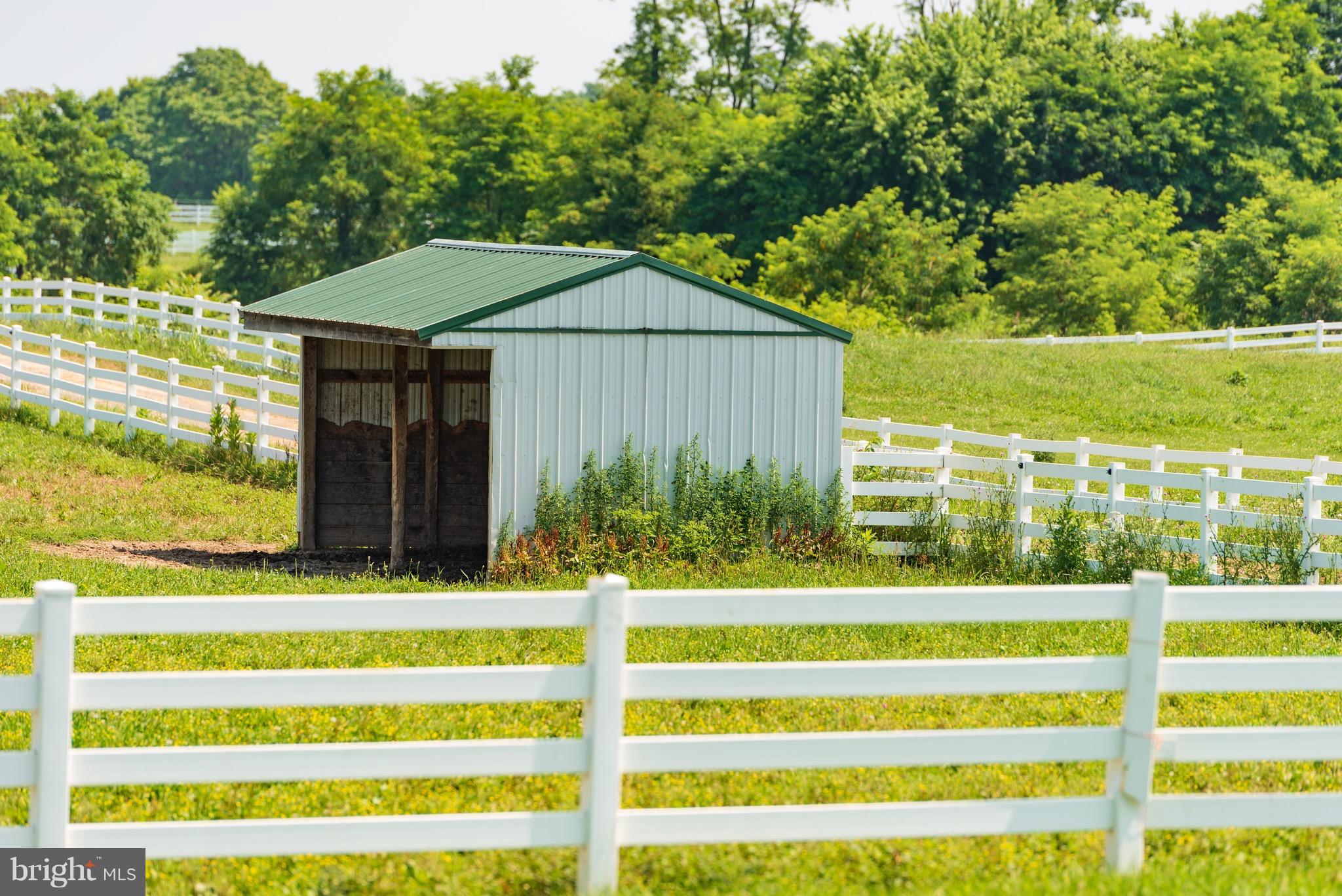 WHITE POST - Farm