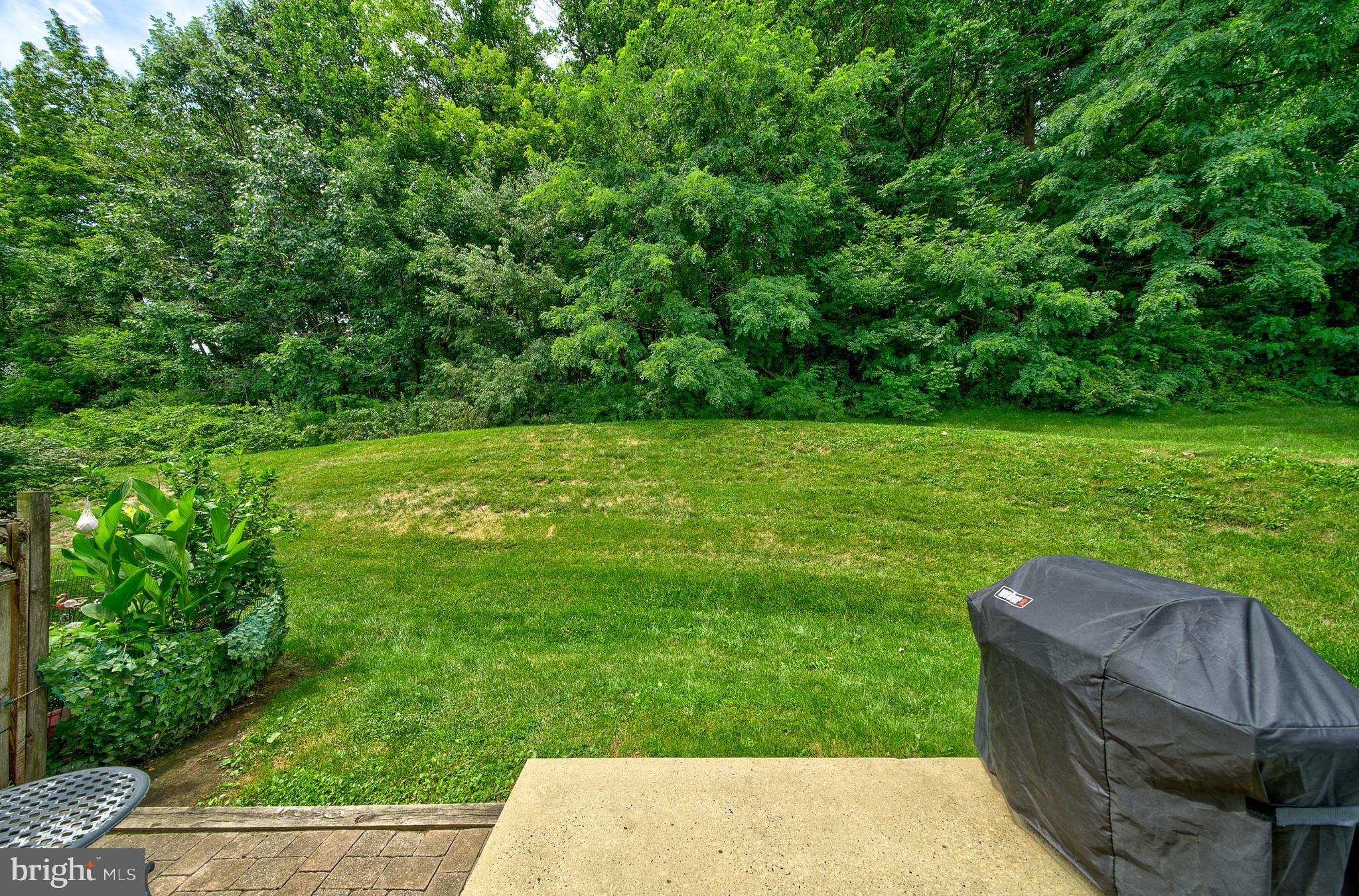 PATRIOTS RIDGE - Residential