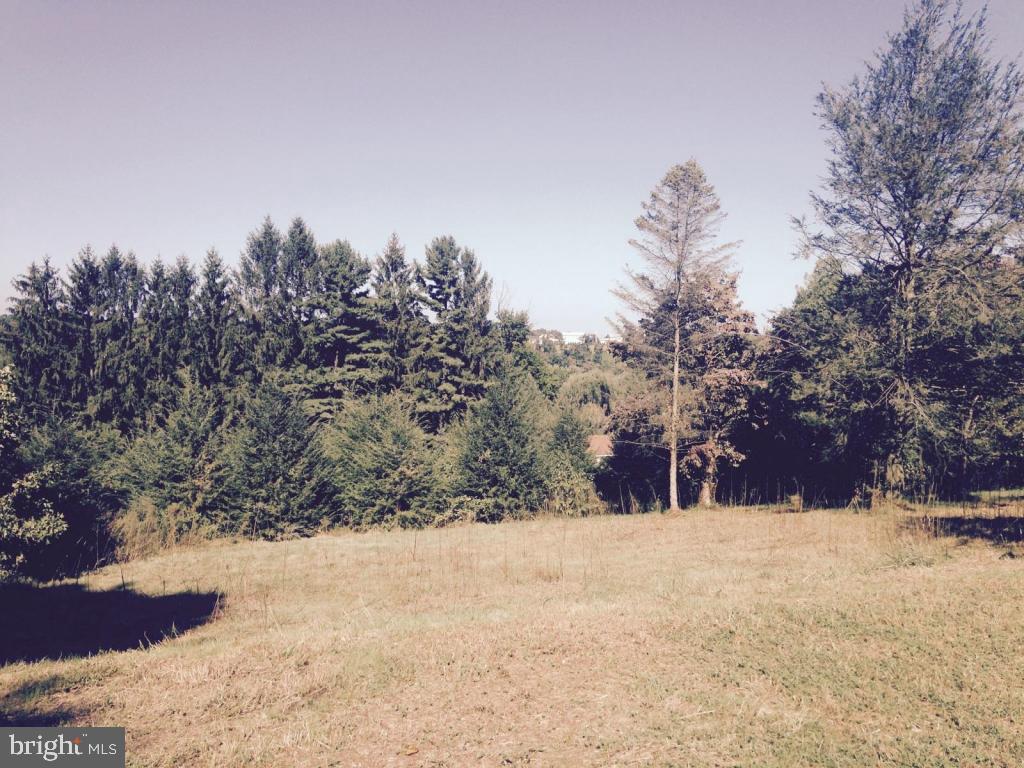 Privacy abounds on this beautiful lot with wildlife & a great view. Close to everything. Ready to build on with well, septic & electric.