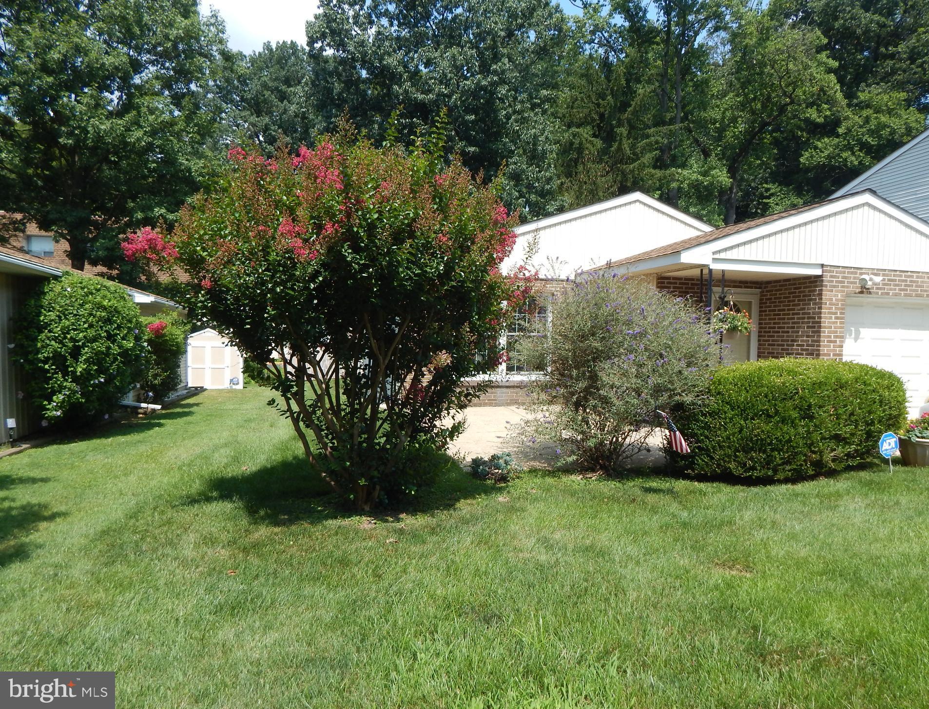 ELKINS PARK - Residential