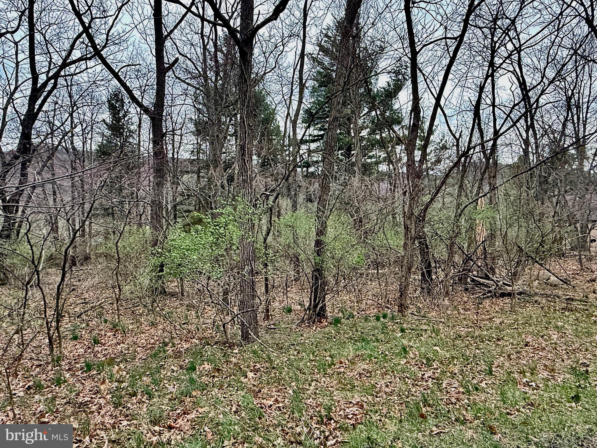 PRIVATE LOCATION. LOOKING FOR THE PERFECT BUILDING SITE?  LOOK NO MORE. SENSIBLE COVENANTS.  UNDER GROUND UTILITIES AT SITE.  PRIME BUILDING LOT IN THE WELL-ESTABLISHED PRESTIGIOUS TIMBERLAKE ESTATES SUBDIVISION.  FULLY WOODED LEVEL 2.3 ACRE LOT WITH ACCESS FROM 2 SIDES!  YEAR ROUND STREAM. PRIVATE LOCATION.