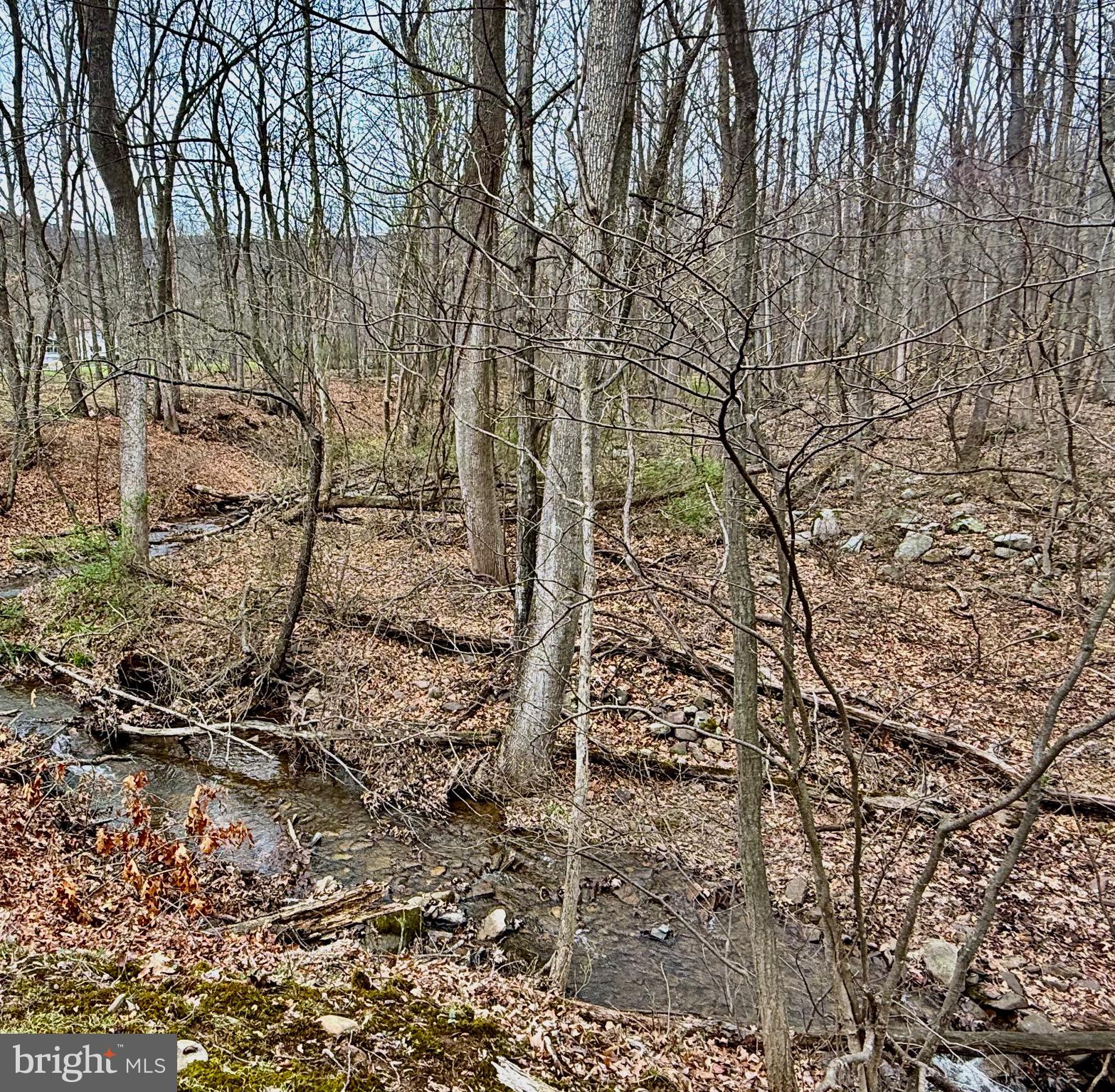 TIMBERLAKE ESTATES - Land