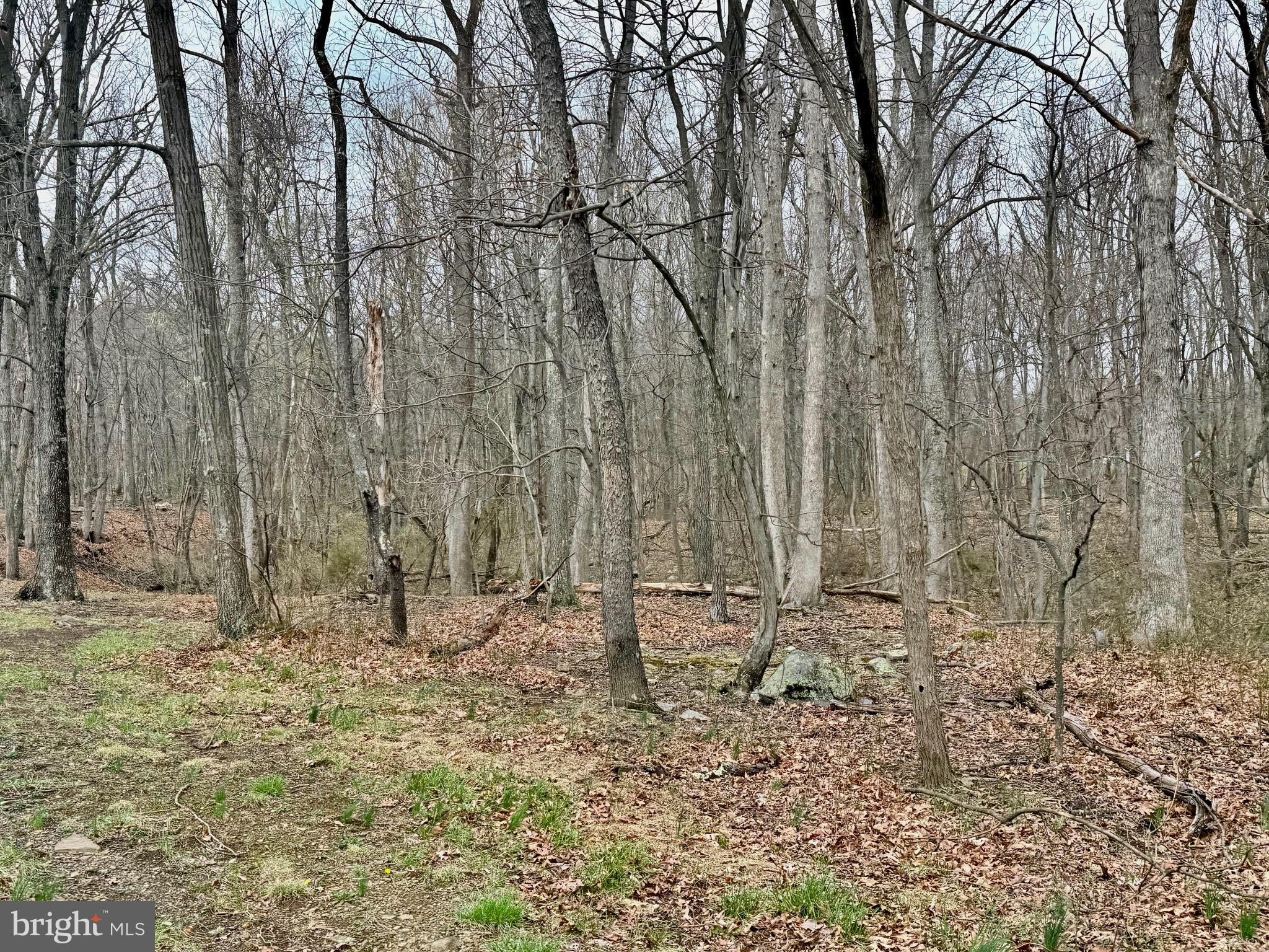 TIMBERLAKE ESTATES - Land