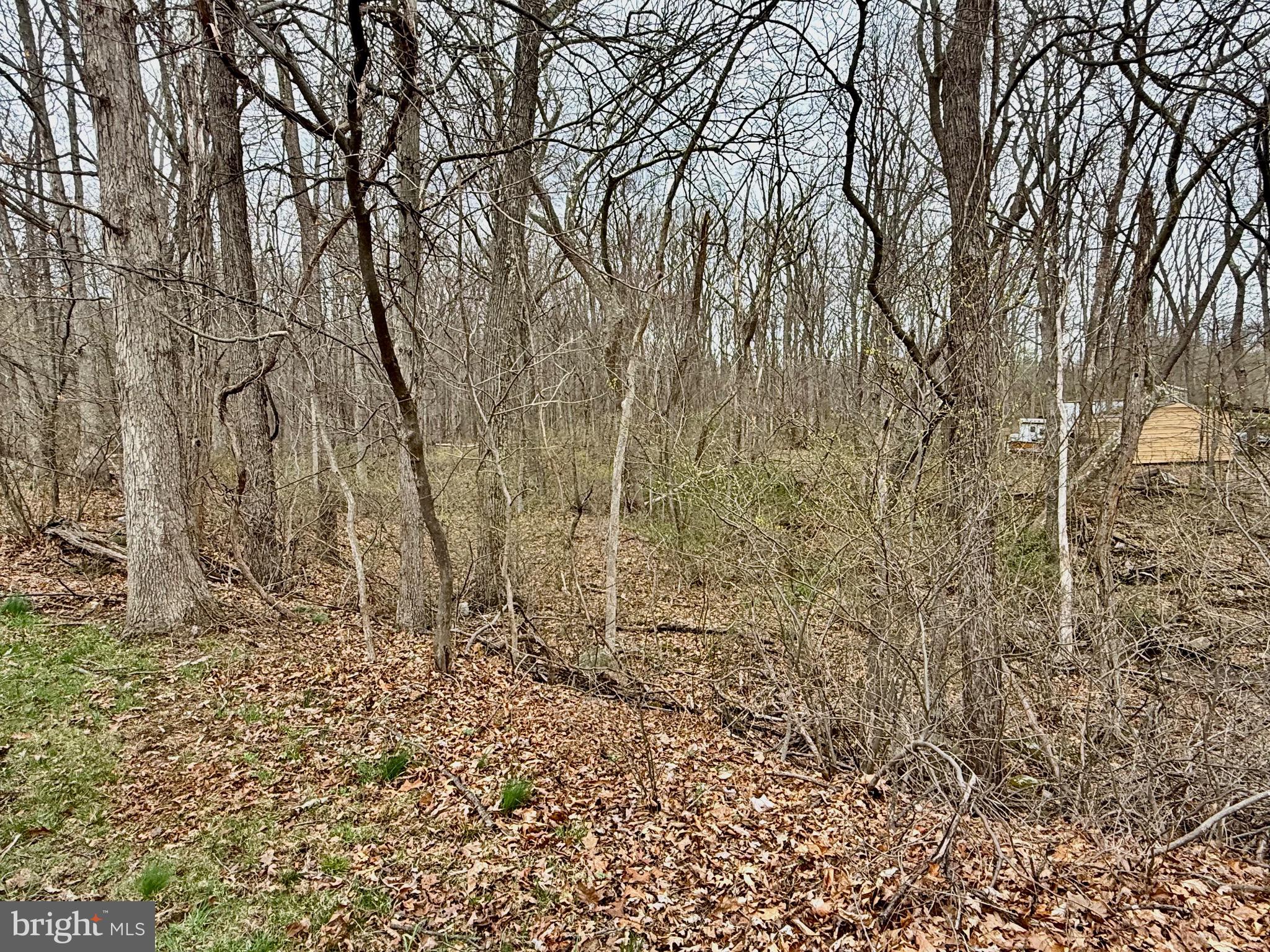 TIMBERLAKE ESTATES - Land