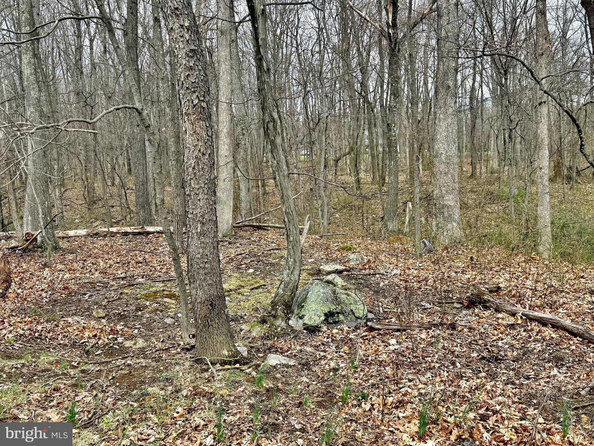 TIMBERLAKE ESTATES - Land