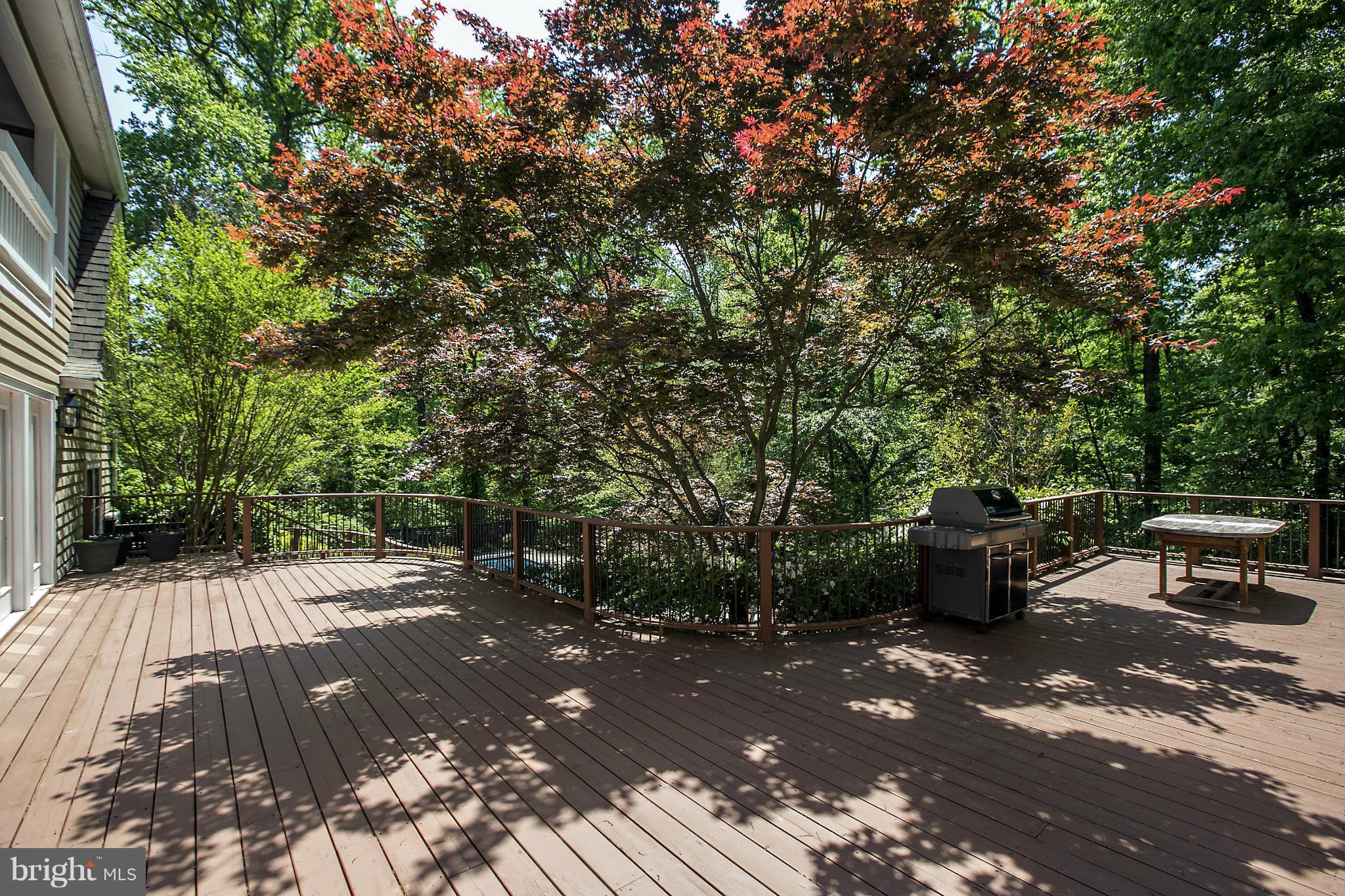 ROCKY RUN - Residential