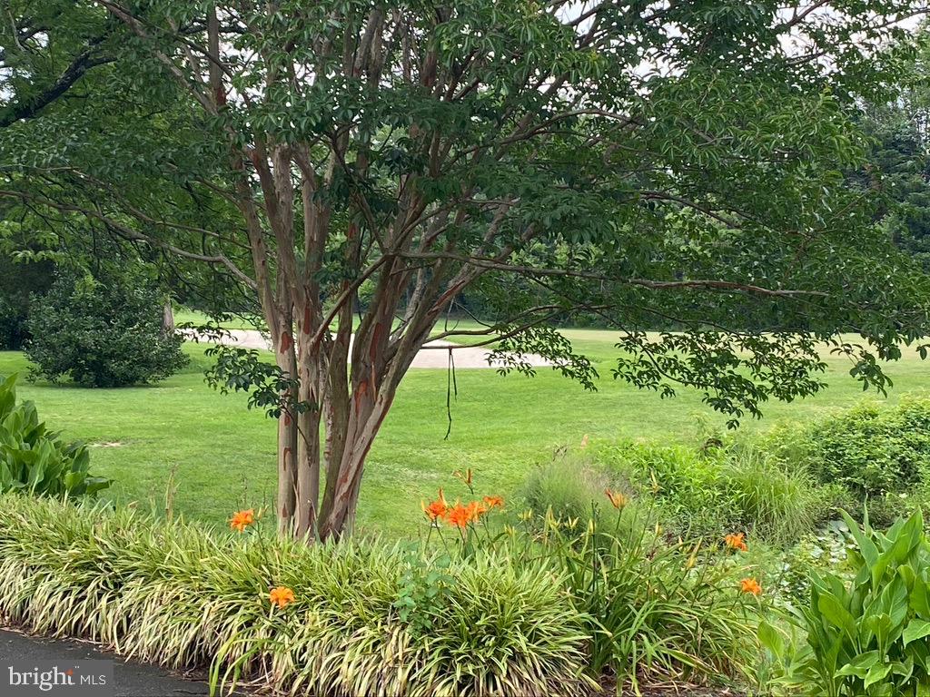 SLEEPY HOLLOW RUN - Residential