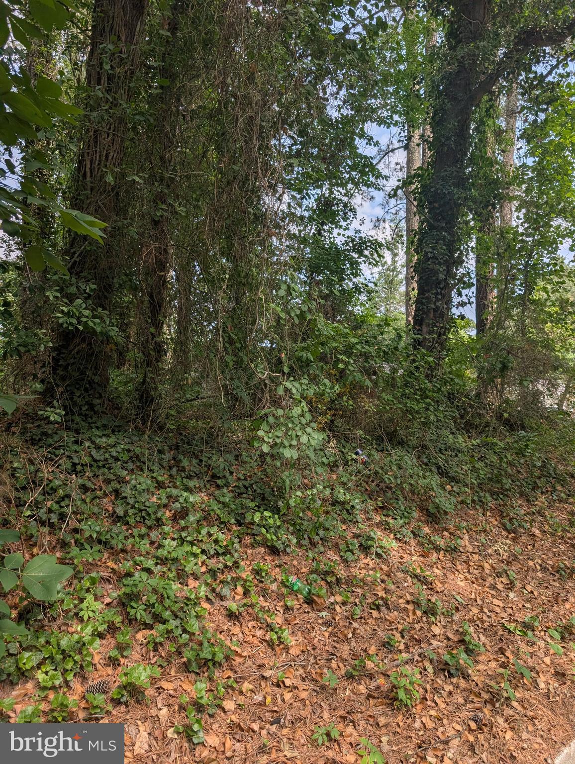 Here is the lot you have been waiting for!  Almost an acre of land with the perfect location that is very convenient to the bypass, Ocean City beaches and tax free Delaware shopping. This sale includes lot 8, lot 9 and lot 10 in Carey Heights.  Perc on file. Buyer to verify any improvements with local municipalities.