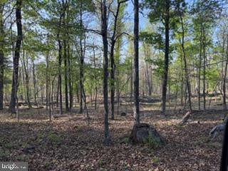 Beautiful 40-acre wooded retreat with cabin and development potential! Discover the possibilities with this wooded property offering privacy, natural beauty, and future opportunity. Tucked away along a state-maintained road, this tract provides a secluded setting while still maintaining accessibility. The property features a charming rustic cabin, perfect for weekend getaways or a hunting retreat. Inside, you will find a cozy loft for sleeping, a propane stove for cooking and a wood stove that provides warmth and character during the cooler months. With mature timber and rolling landscape, this land offers excellent potential for development into multiple building lots or a private estate. Whether you are looking to invest, build or simply escape to nature, this property checks all the boxes. If you are searching for acreage with versatility, privacy, and long-term potential-this is it! Property is being sold as is.