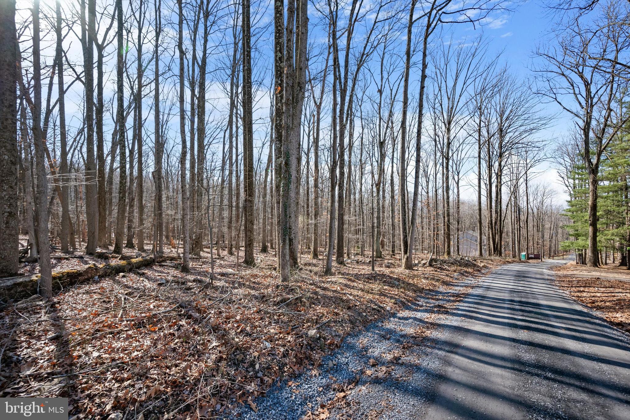 What an amazing, unrestricted 0.48-acre property just a short distance from Shannondale Lake! Build your dream home near Mountain Lake Club with the privacy of property in the woods and NO HOA. This lot backs to the Shannondale Springs Wildlife Management Area, assuring privacy as well as access to the
maintained walking trail and is just a 3-minute drive to the Mountain Lake Club House. Easy access to the Shenandoah River, Charles Town, Virginia and major commuting routes.