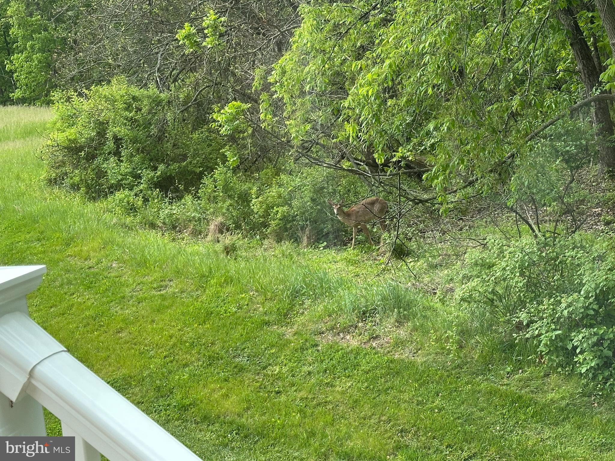 THE PRESERVES AT CUMBERLAND VILLAGE - Residential