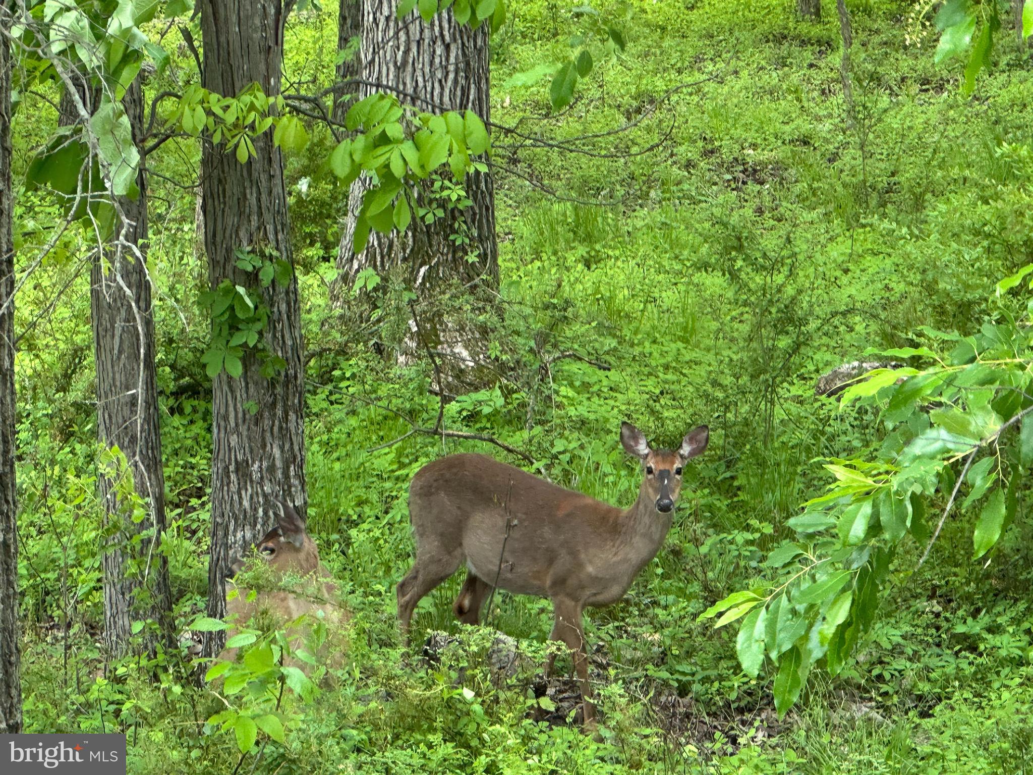 THE PRESERVES AT CUMBERLAND VILLAGE - Residential