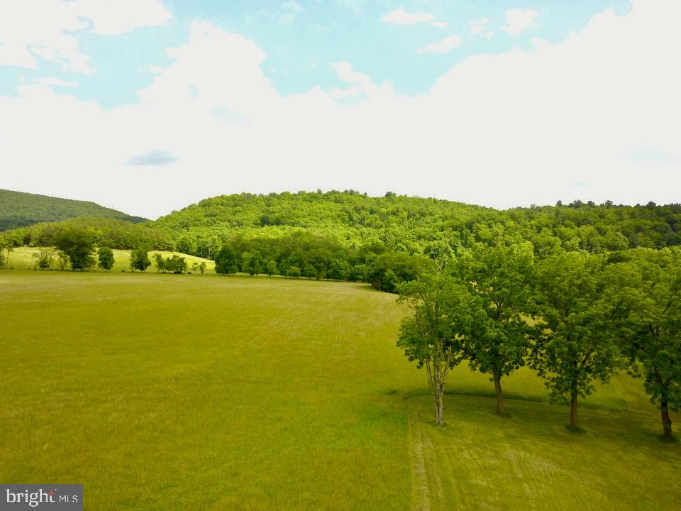 NONE AVAILABLE - Farm