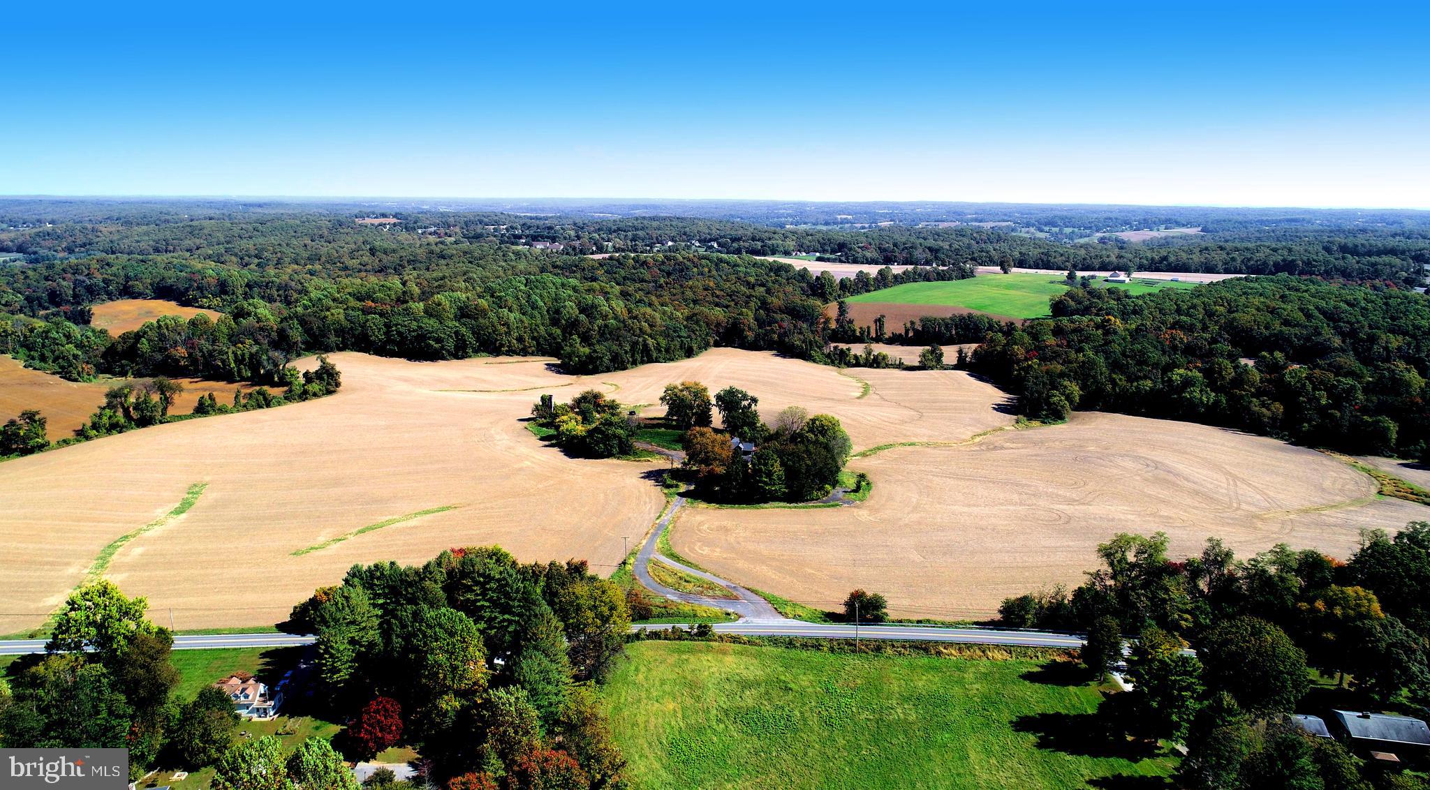 HICKORY - Farm