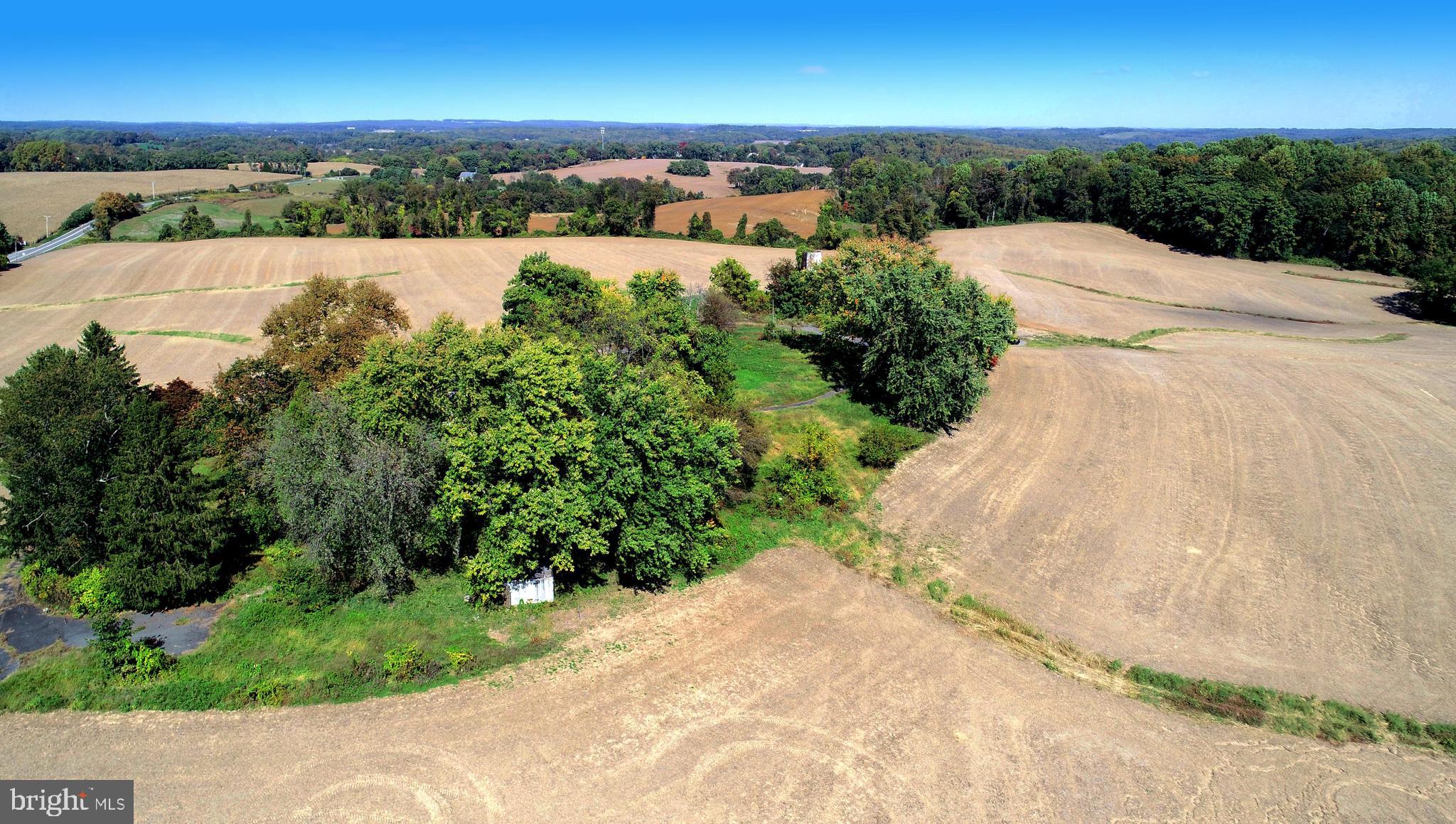 HICKORY - Farm