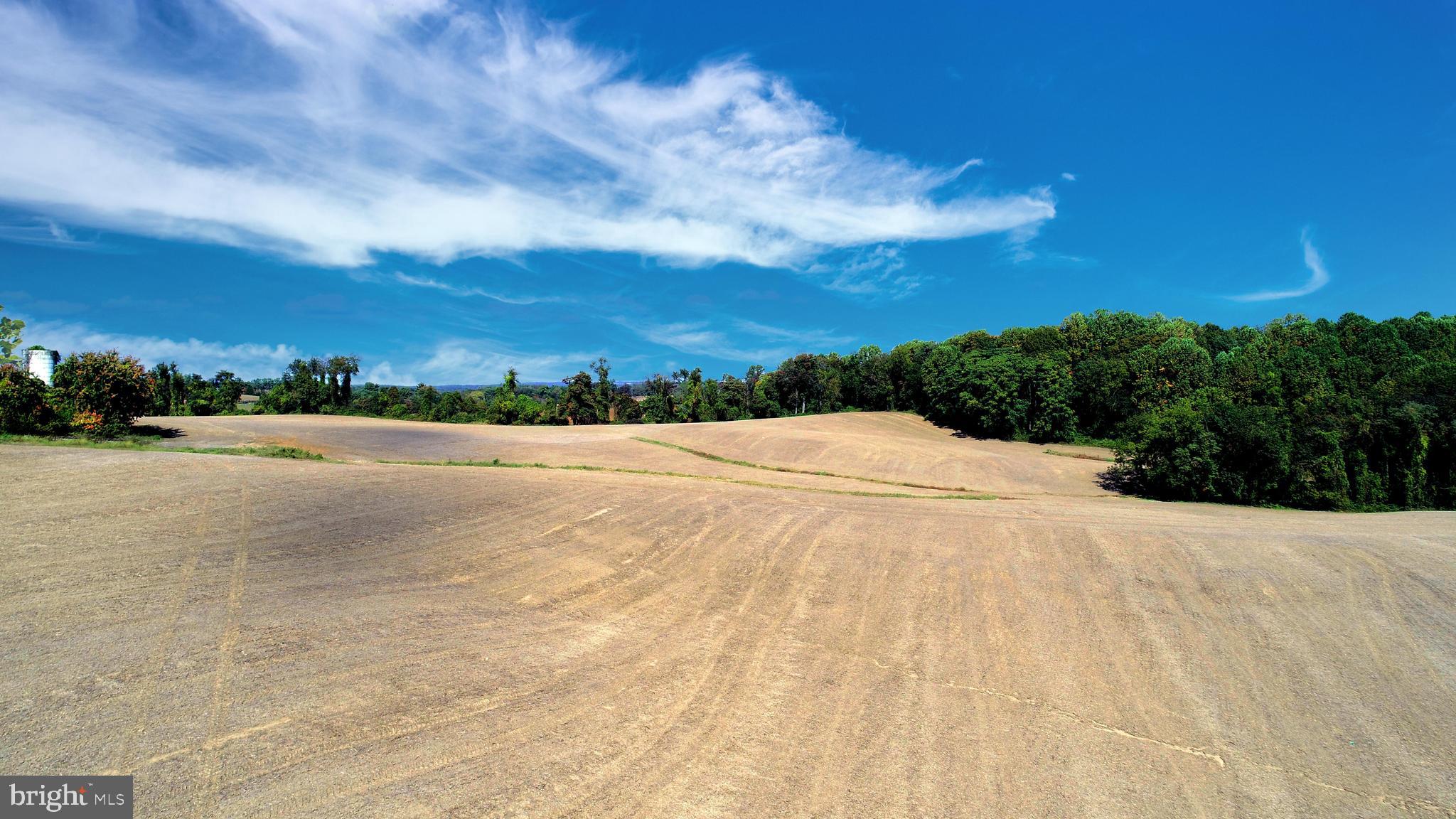 HICKORY - Farm