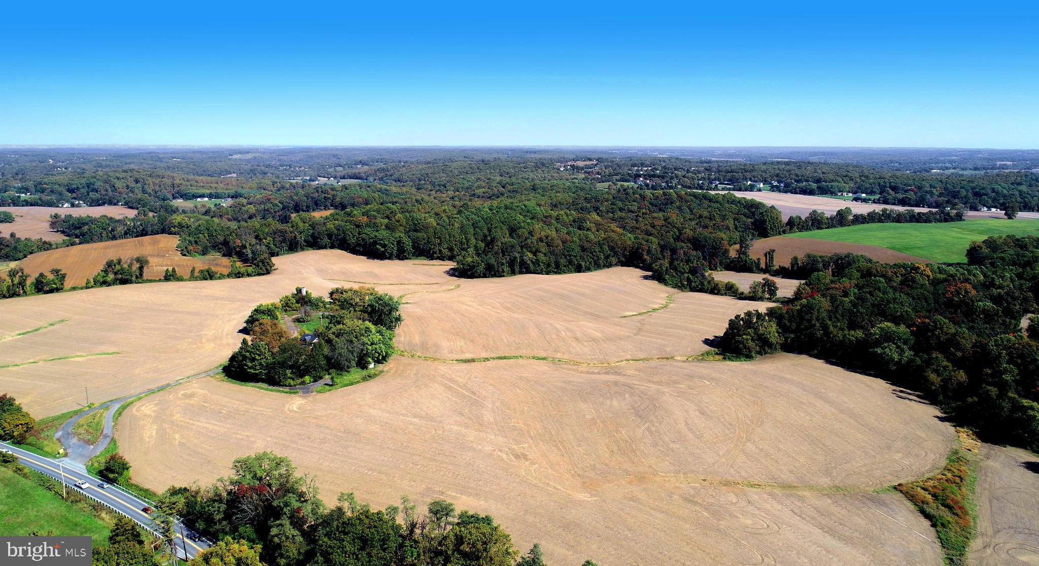 HICKORY - Farm